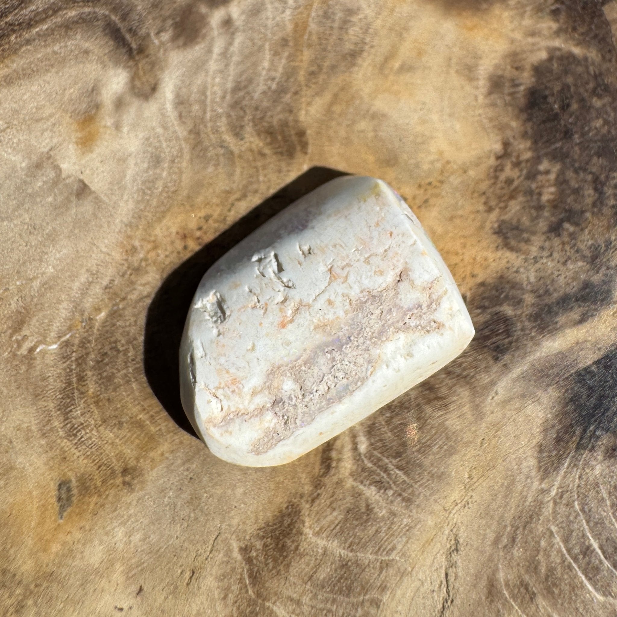 5.6ct Coober Pedy Opal | Belemnite Fossil | Solid Australian Opal | Hand-Cut