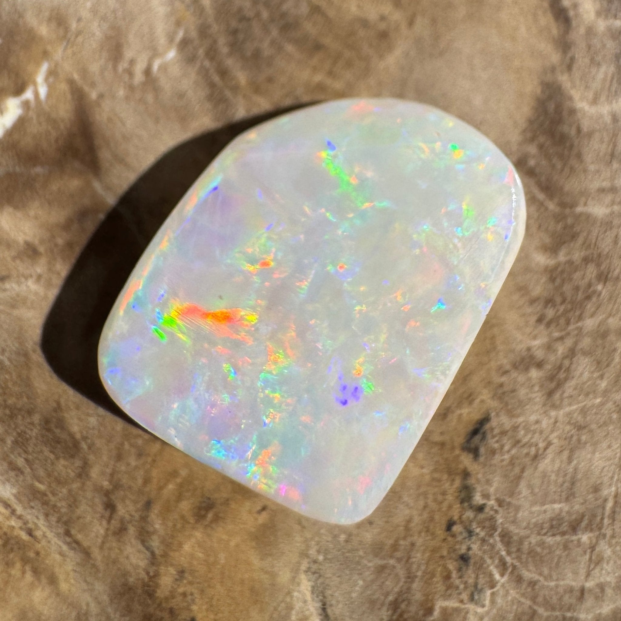 5.6ct Coober Pedy Opal | Belemnite Fossil | Solid Australian Opal | Hand-Cut
