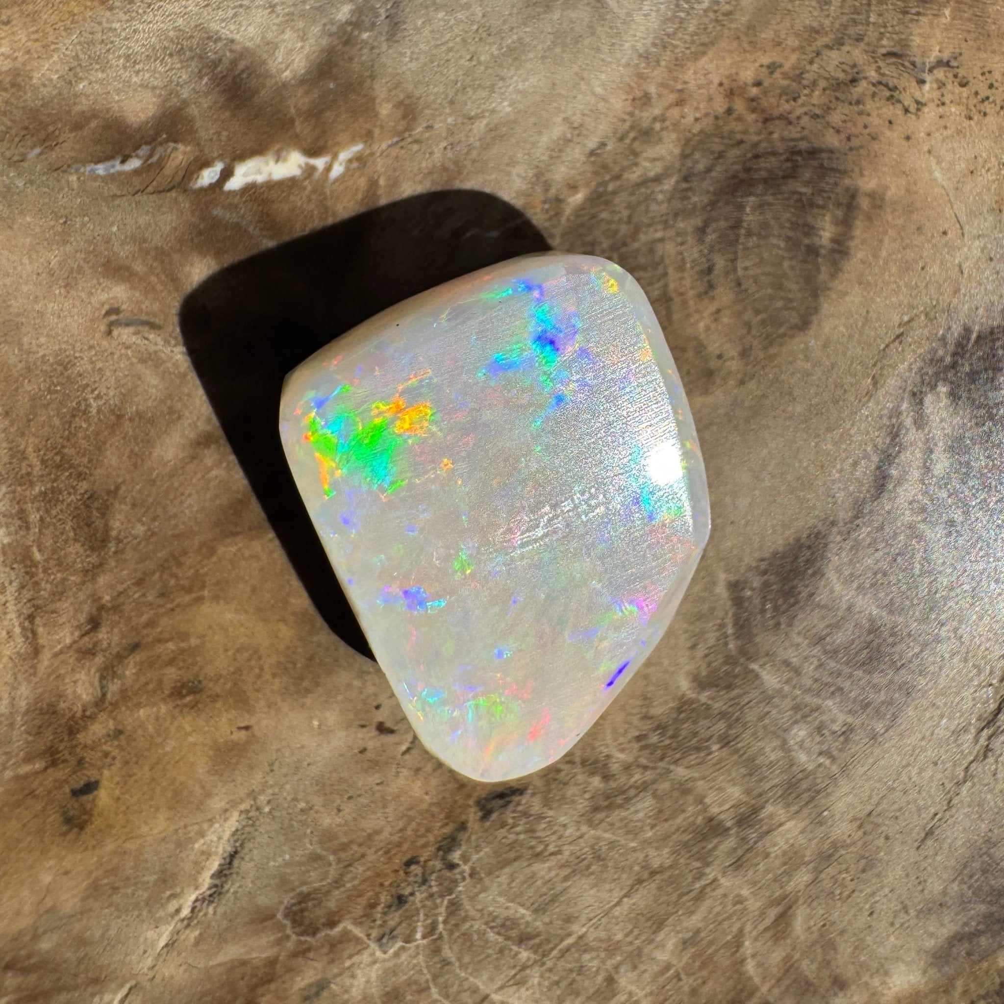 5.6ct Coober Pedy Opal | Belemnite Fossil | Solid Australian Opal | Hand-Cut