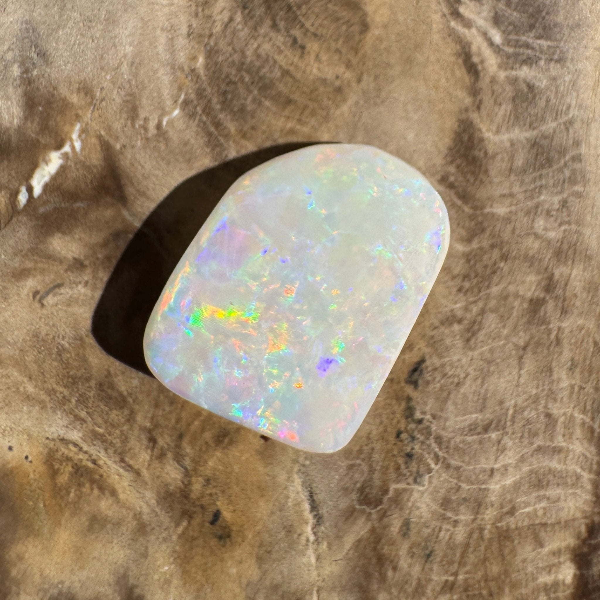 5.6ct Coober Pedy Opal | Belemnite Fossil | Solid Australian Opal | Hand-Cut