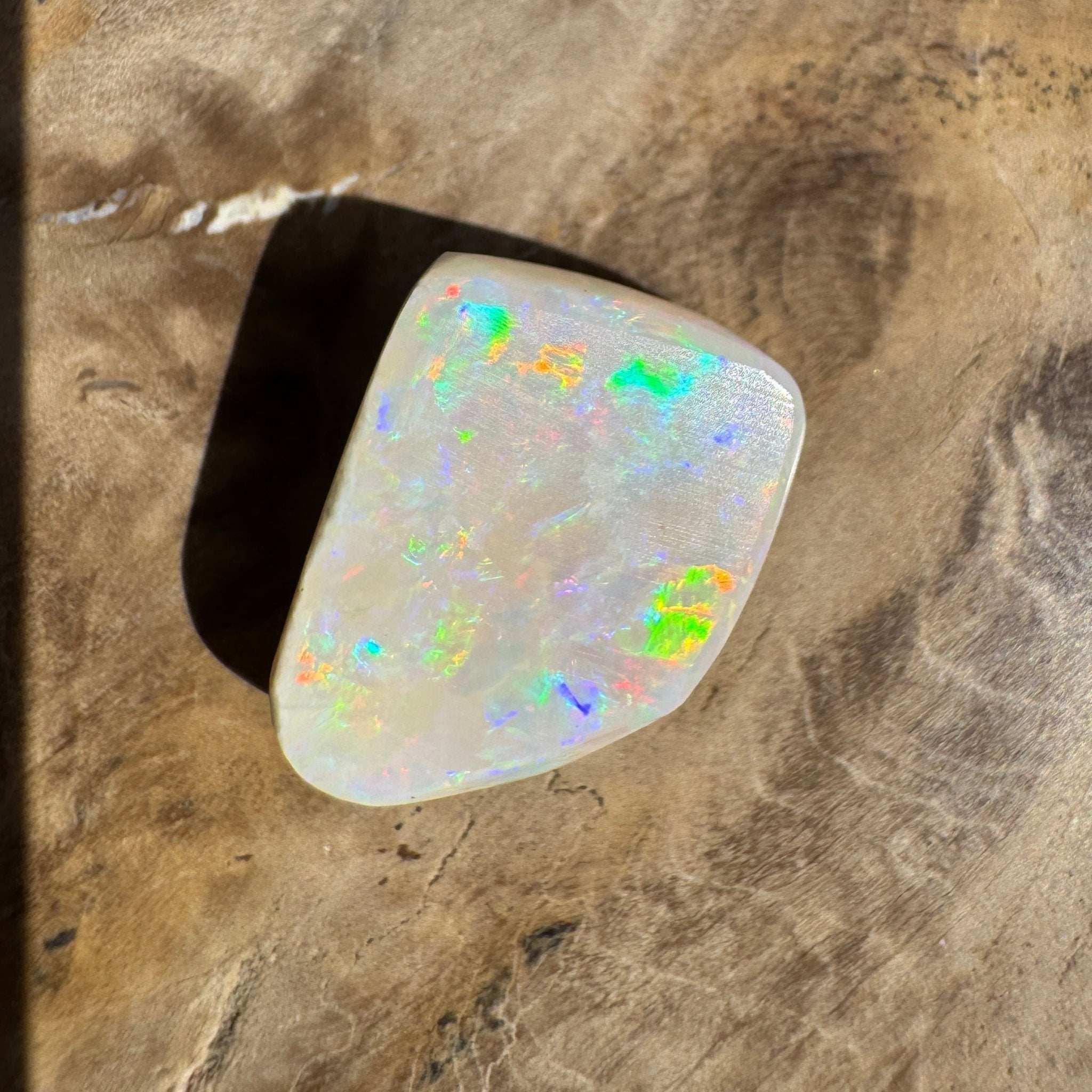 5.6ct Coober Pedy Opal | Belemnite Fossil | Solid Australian Opal | Hand-Cut