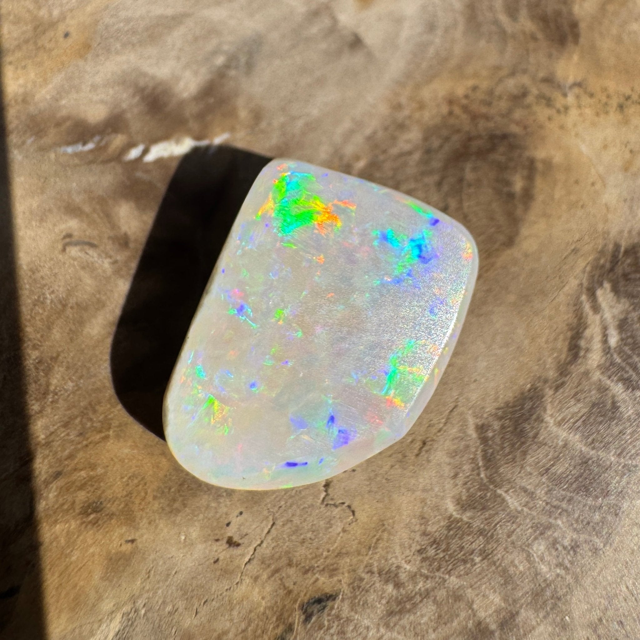 5.6ct Coober Pedy Opal | Belemnite Fossil | Solid Australian Opal | Hand-Cut