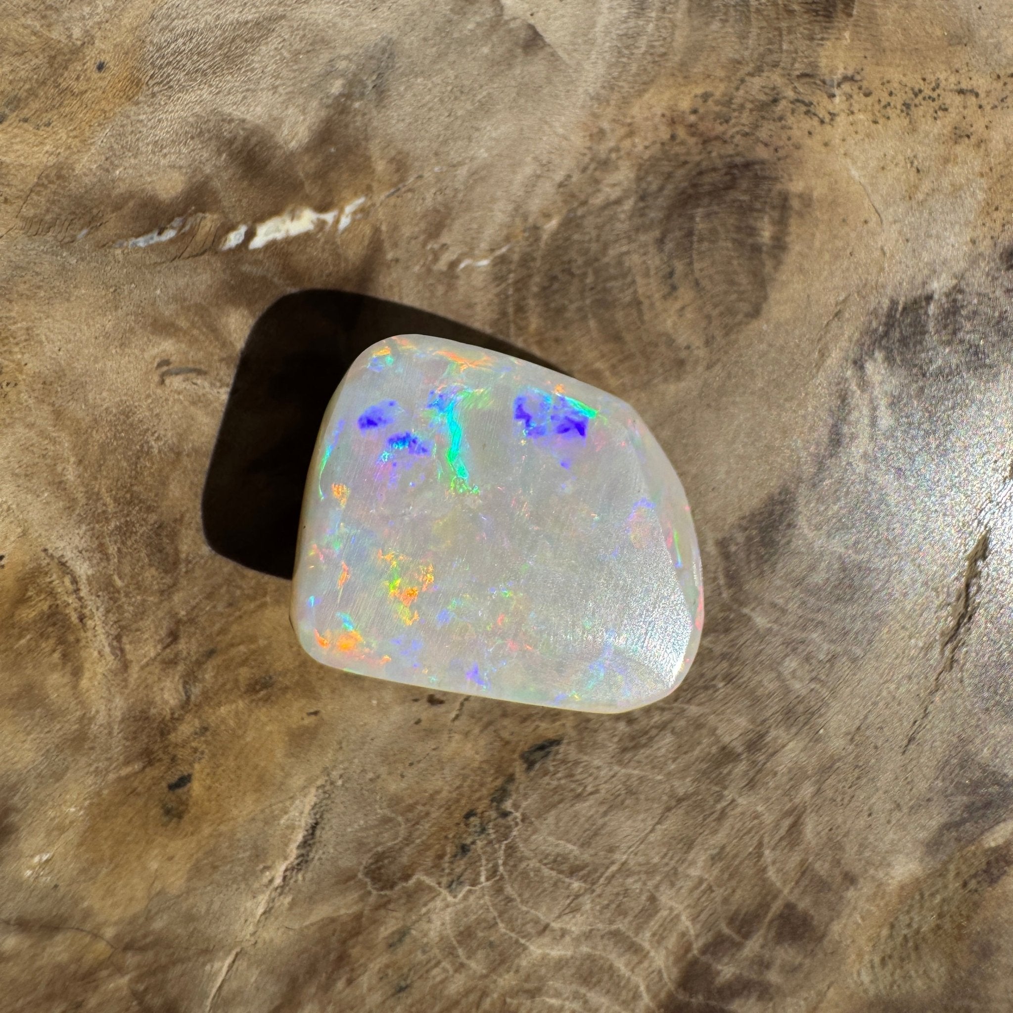5.6ct Coober Pedy Opal | Belemnite Fossil | Solid Australian Opal | Hand-Cut