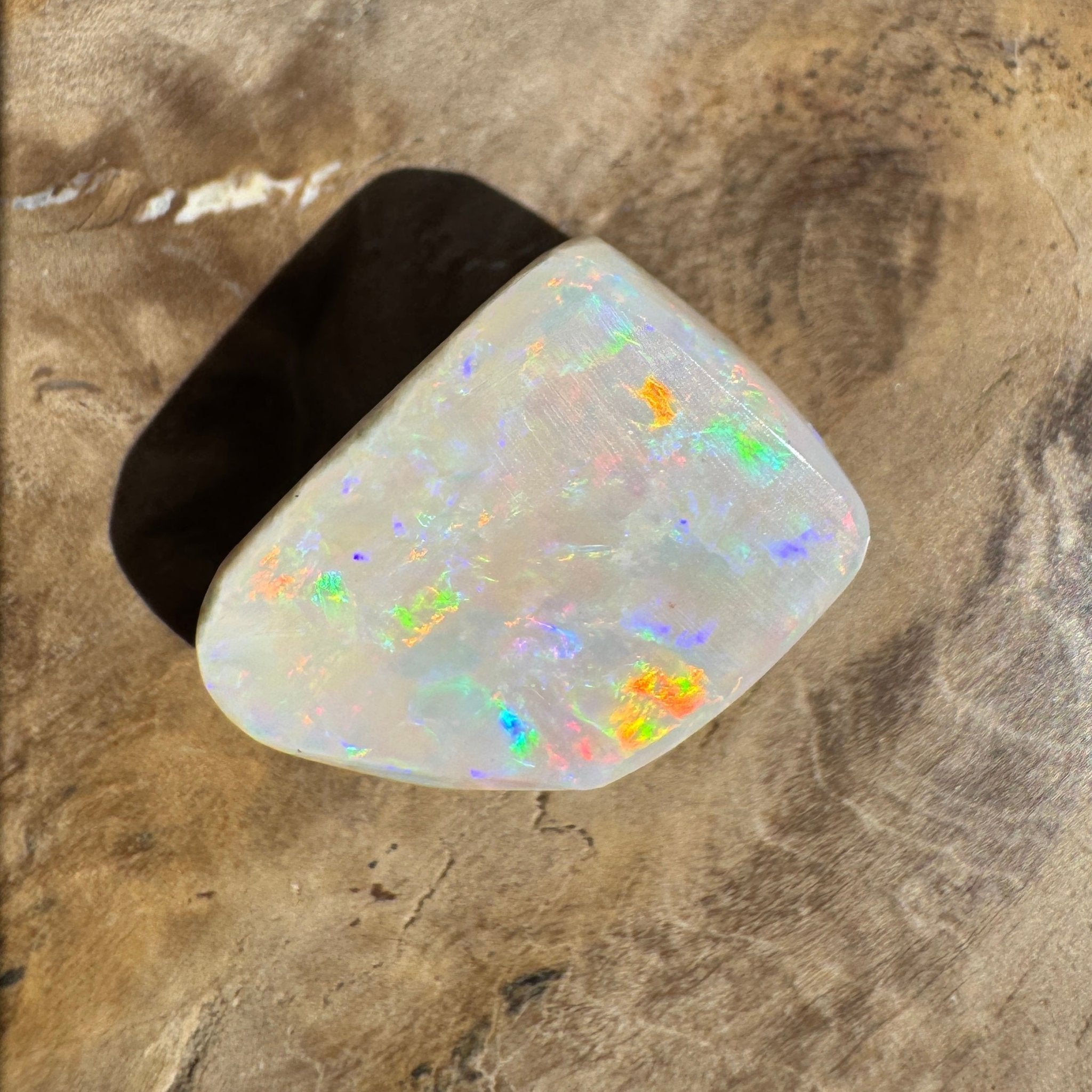 5.6ct Coober Pedy Opal | Belemnite Fossil | Solid Australian Opal | Hand-Cut