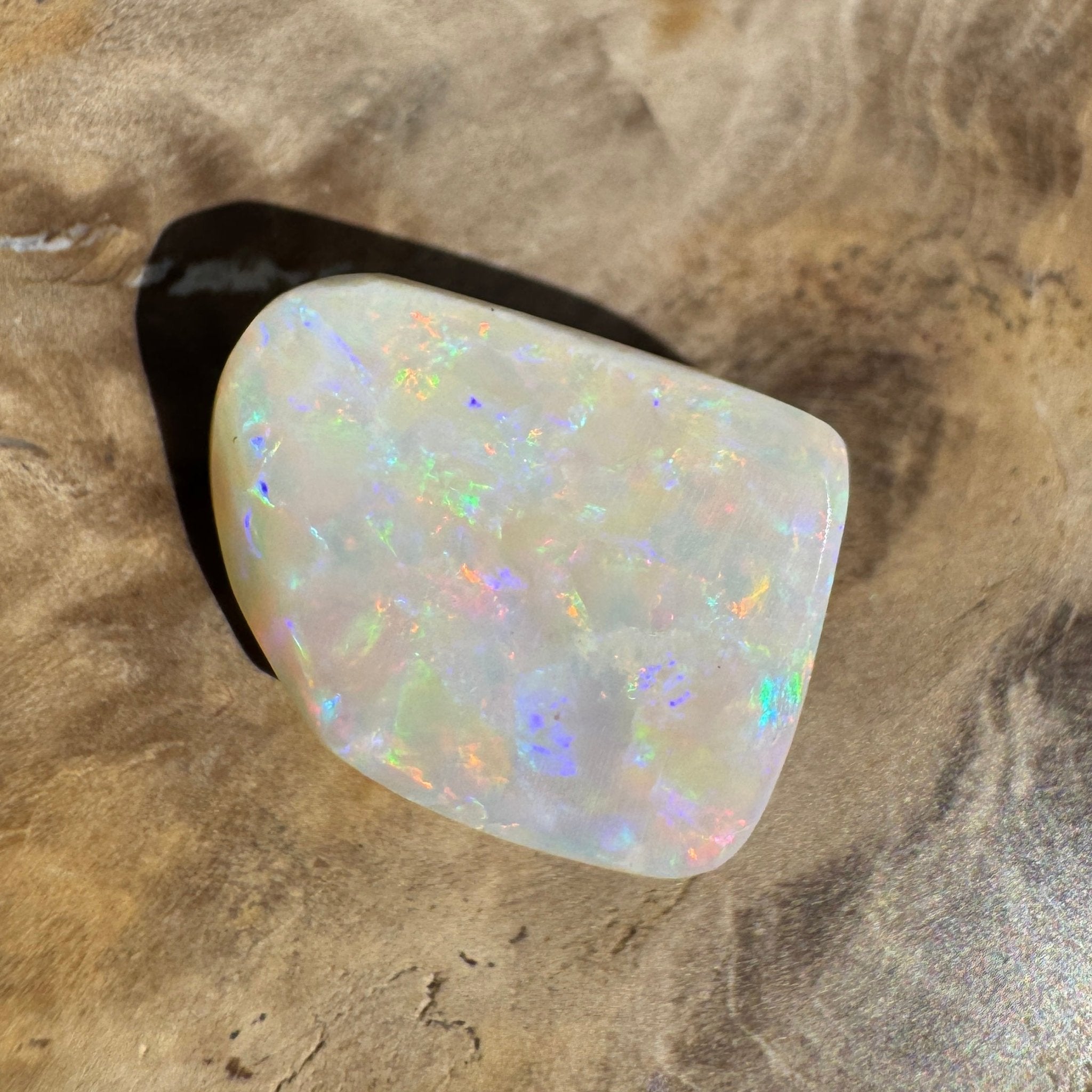 5.6ct Coober Pedy Opal | Belemnite Fossil | Solid Australian Opal | Hand-Cut