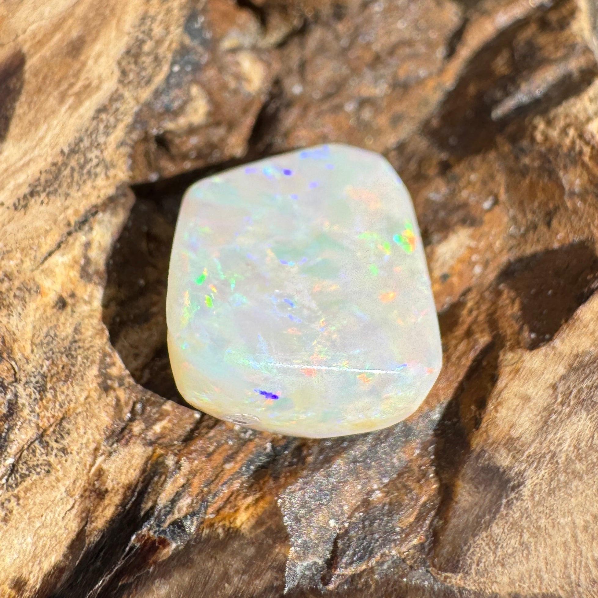 5.6ct Coober Pedy Opal | Belemnite Fossil | Solid Australian Opal | Hand-Cut