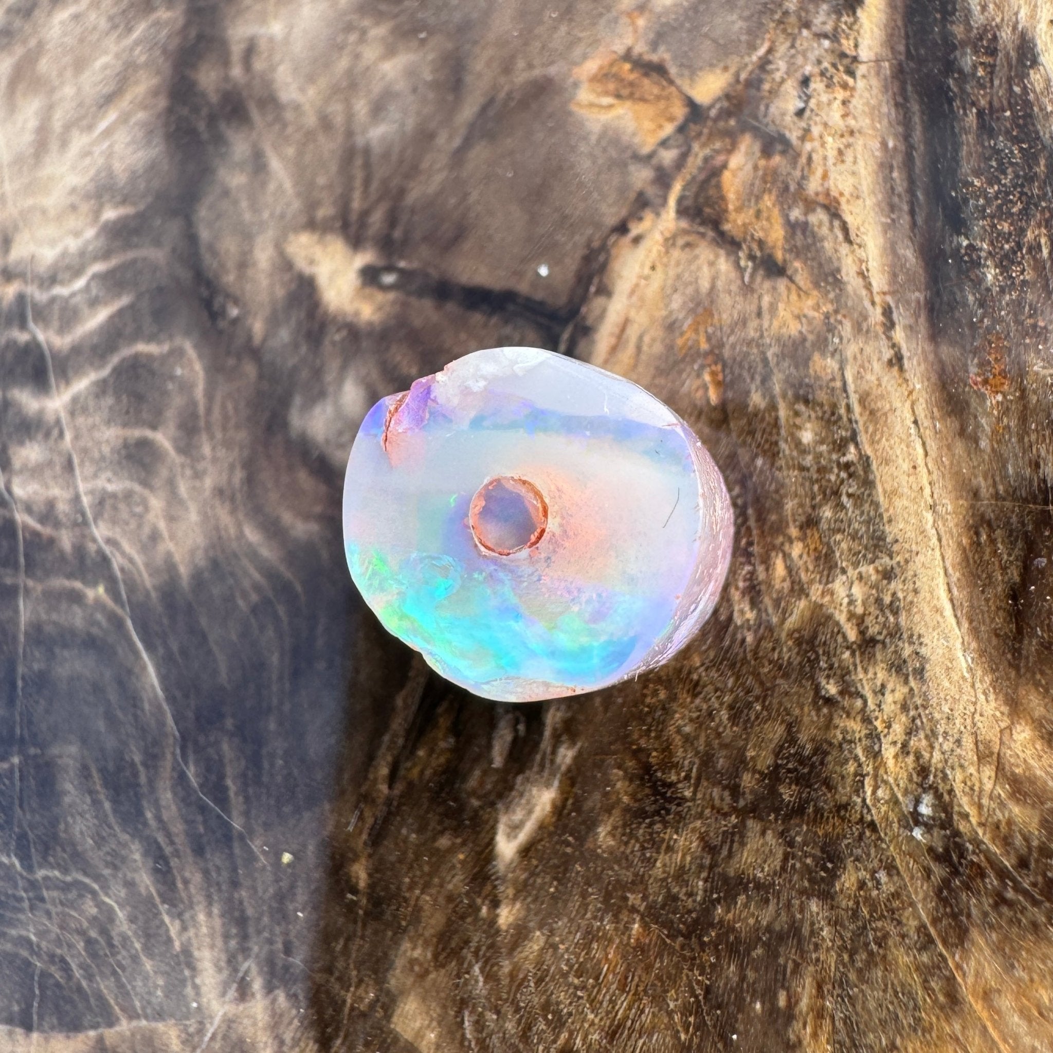 5.8ct Coober Pedy Belemnite Opal | Solid Australian Opal | Hand-Cut