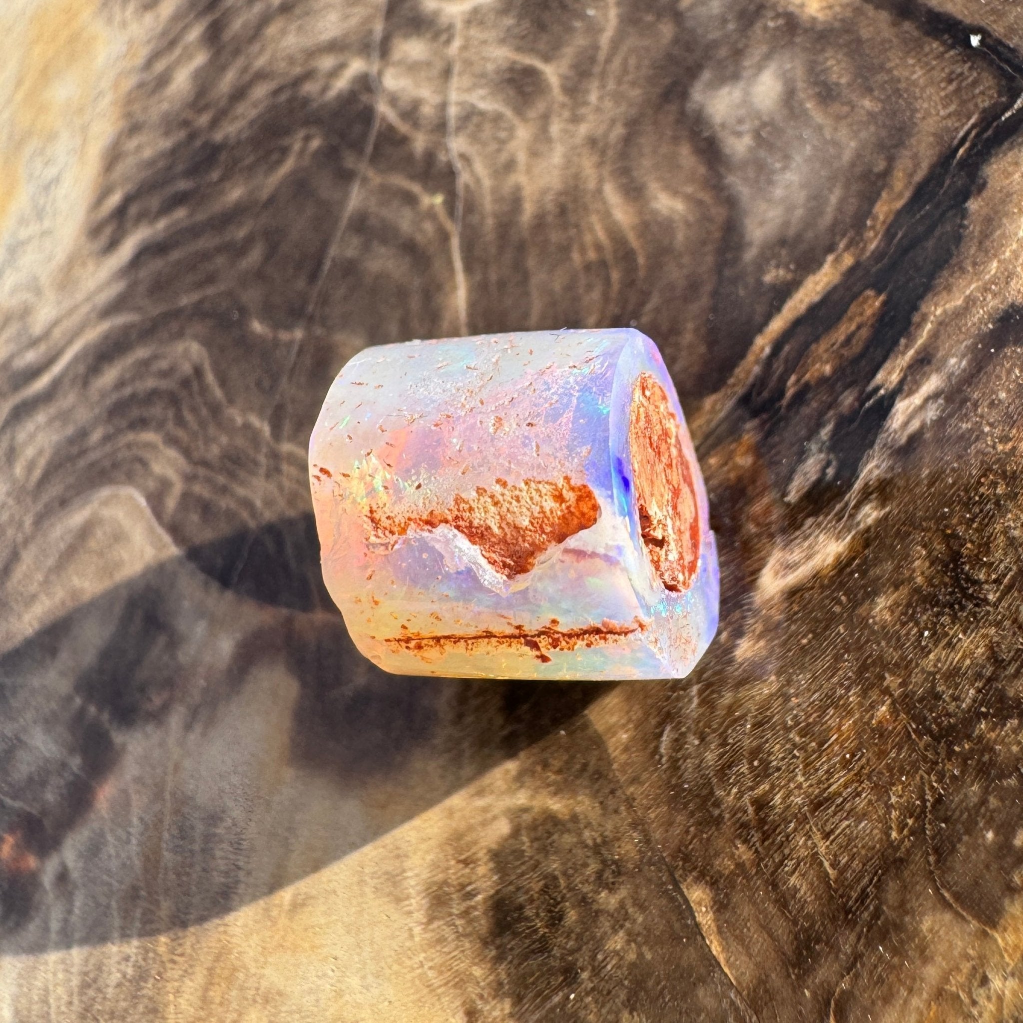 5.8ct Coober Pedy Belemnite Opal | Solid Australian Opal | Hand-Cut