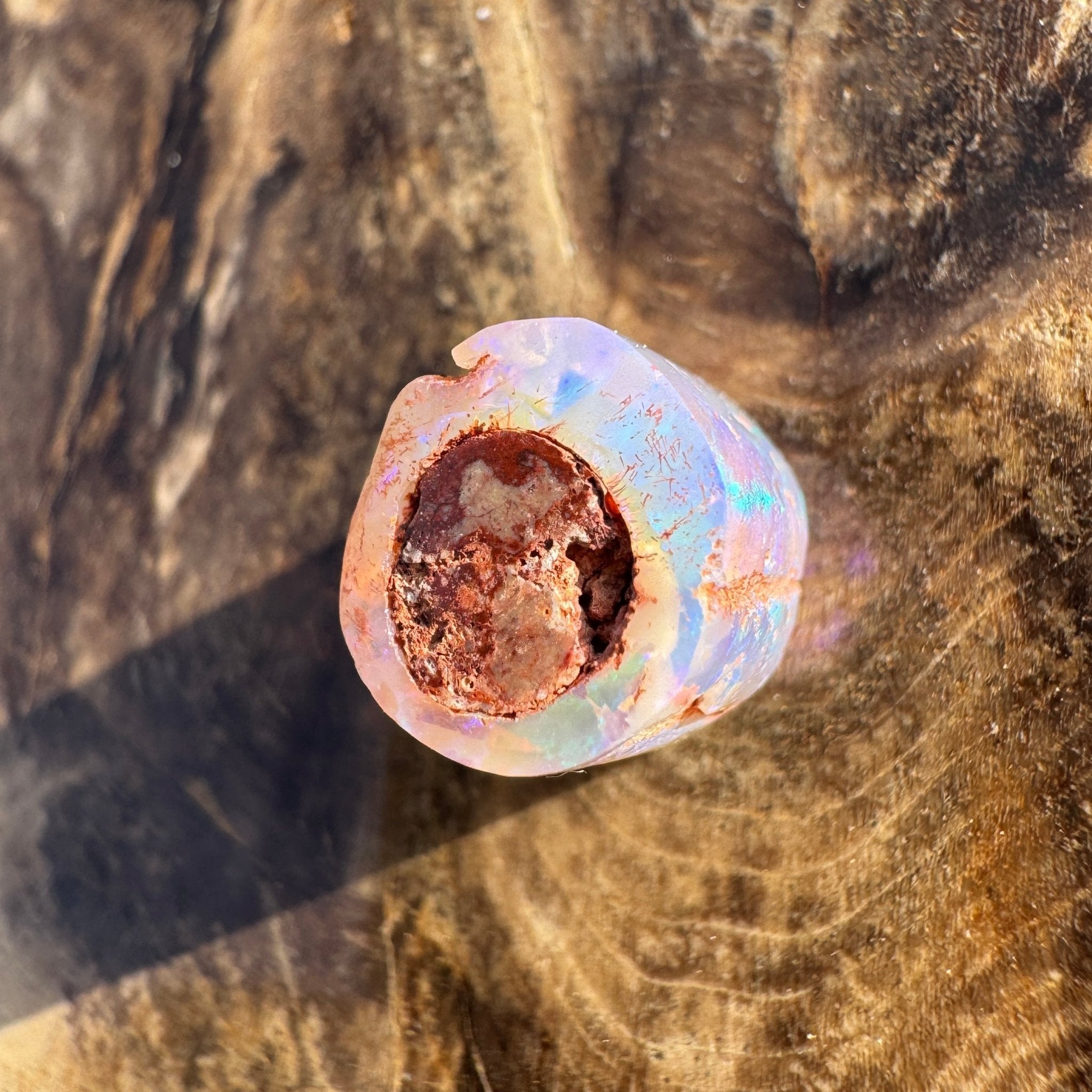 5.8ct Coober Pedy Belemnite Opal | Solid Australian Opal | Hand-Cut