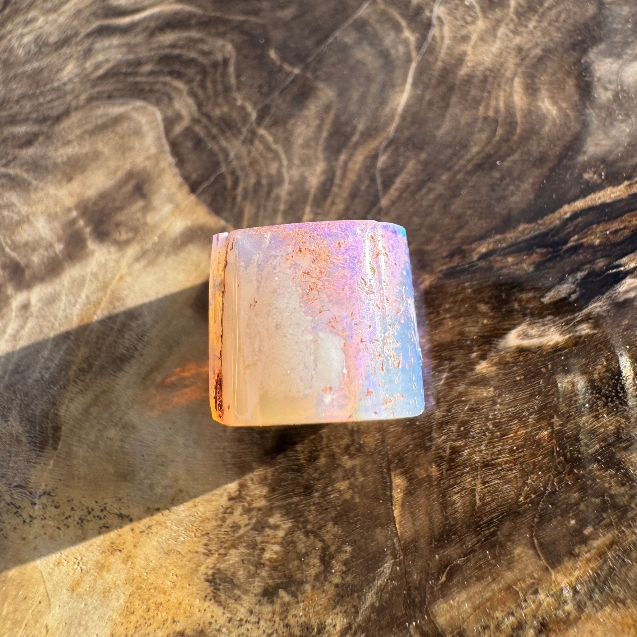 5.8ct Coober Pedy Belemnite Opal | Solid Australian Opal | Hand-Cut