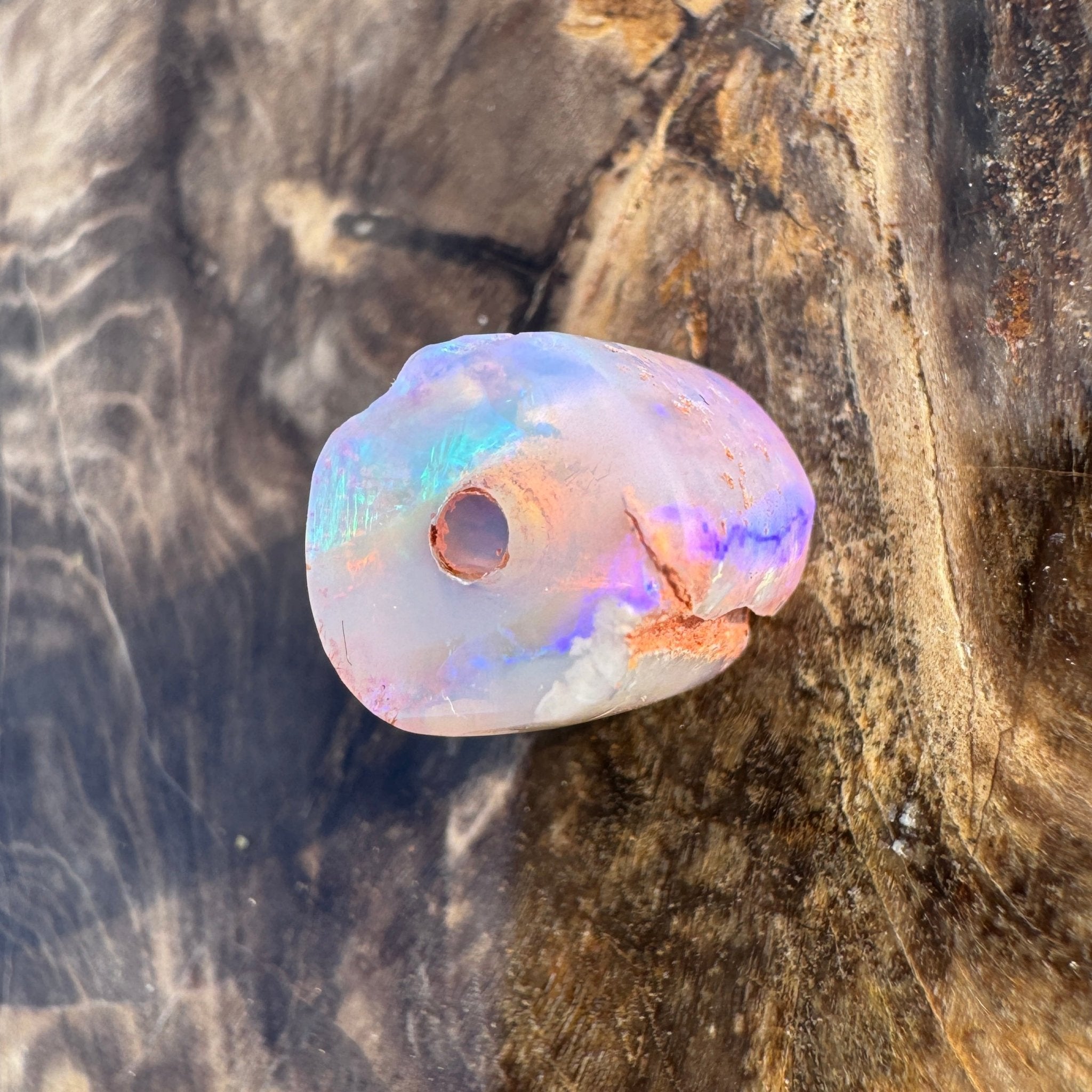 5.8ct Coober Pedy Belemnite Opal | Solid Australian Opal | Hand-Cut