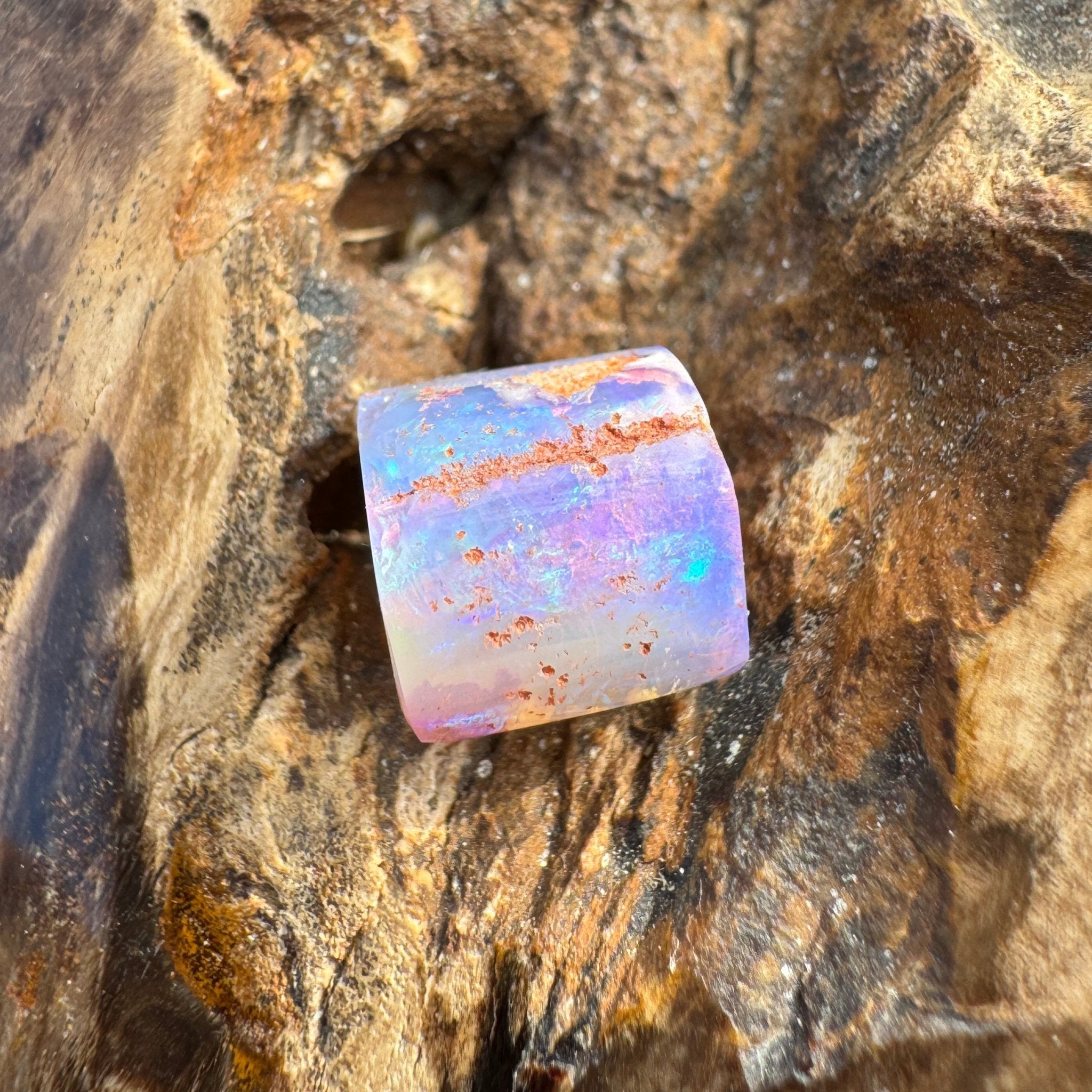 5.8ct Coober Pedy Belemnite Opal | Solid Australian Opal | Hand-Cut