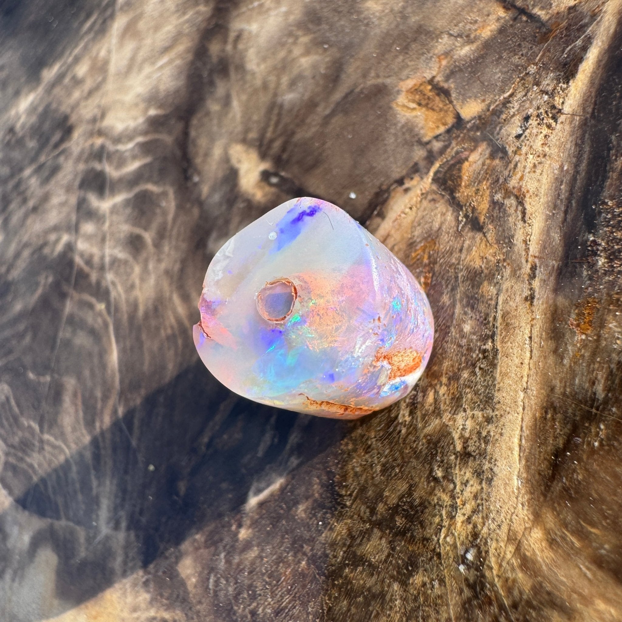 5.8ct Coober Pedy Belemnite Opal | Solid Australian Opal | Hand-Cut