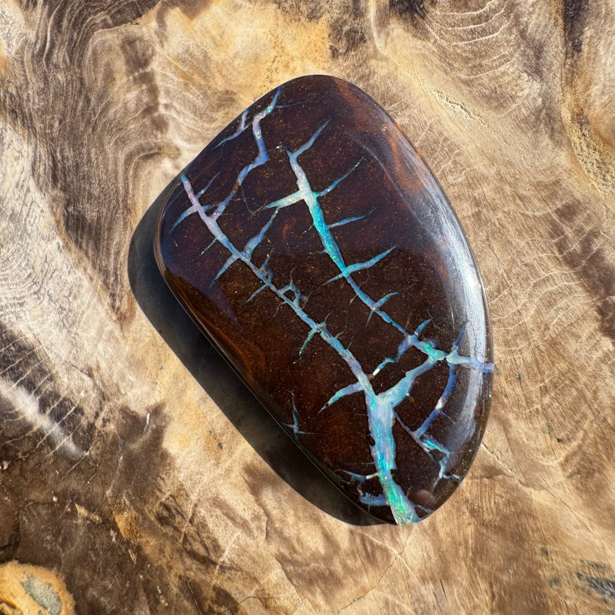 62.4ct Queensland Boulder Opal