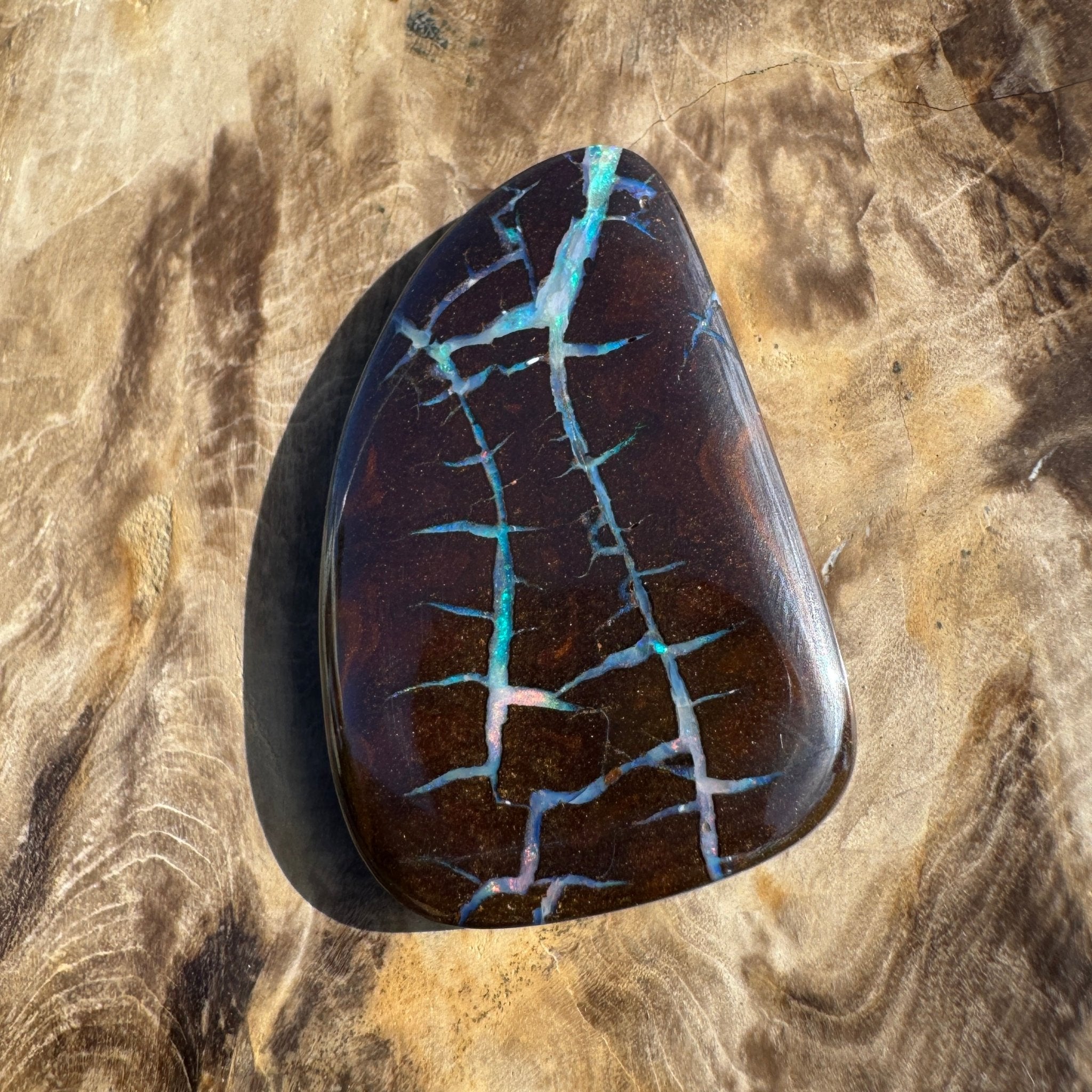 62.4ct Queensland Boulder Opal