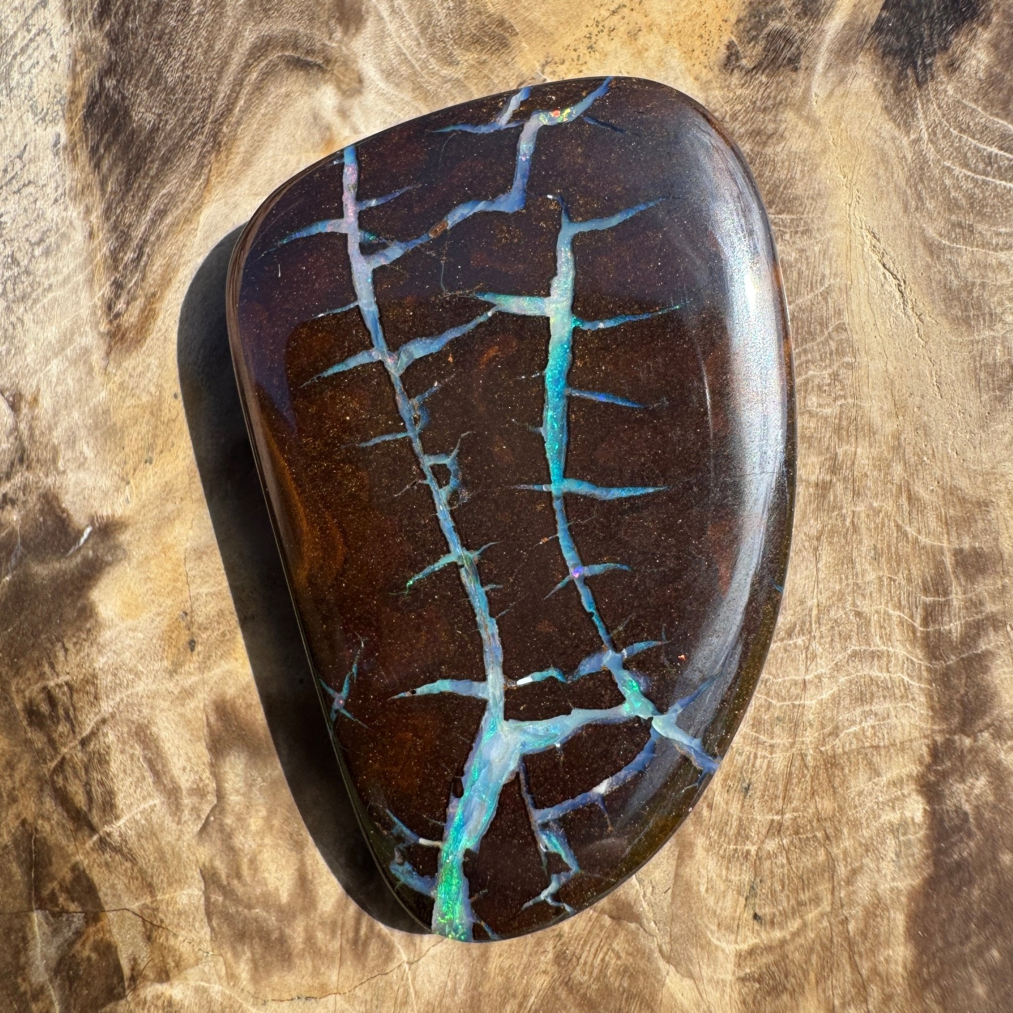 62.4ct Queensland Boulder Opal