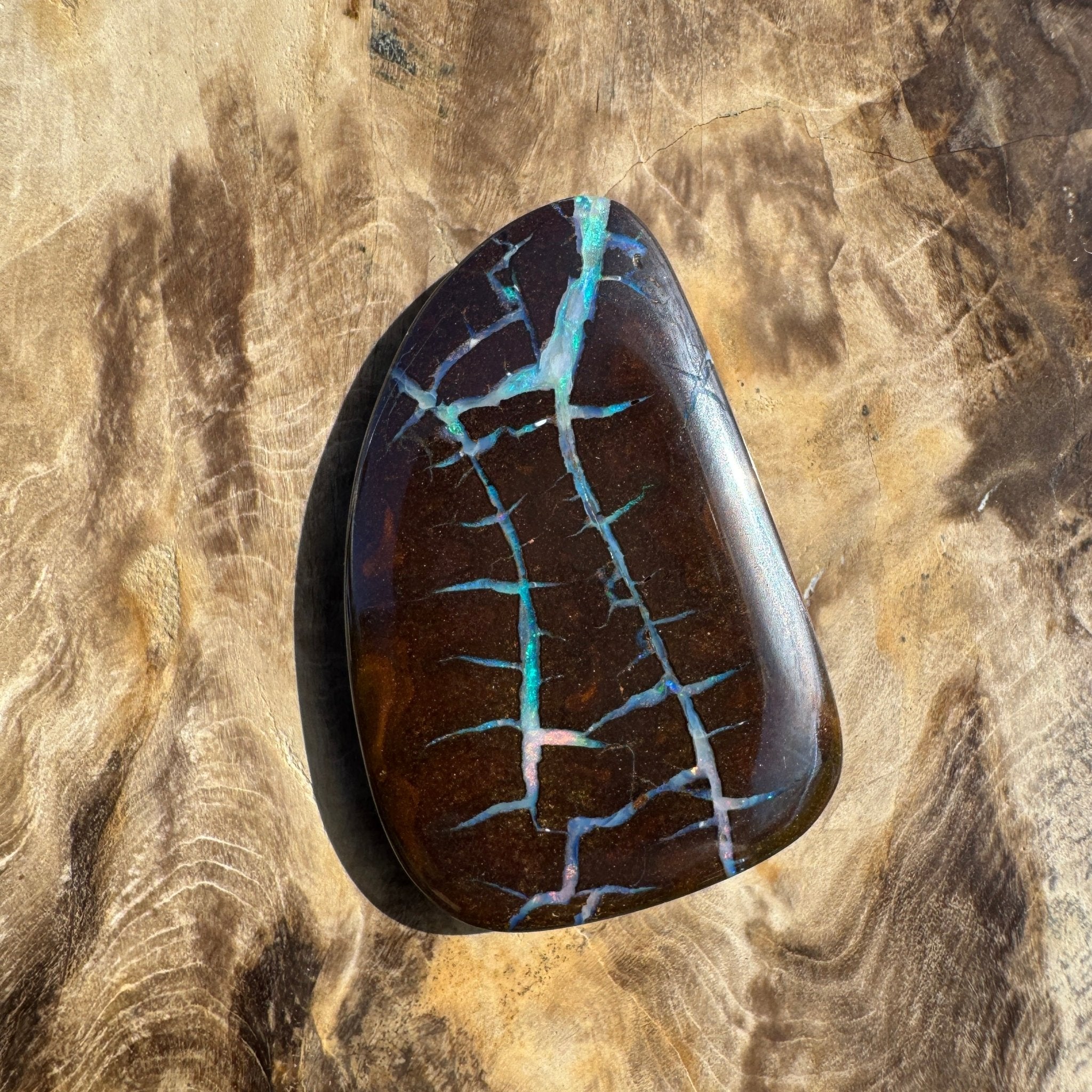 62.4ct Queensland Boulder Opal