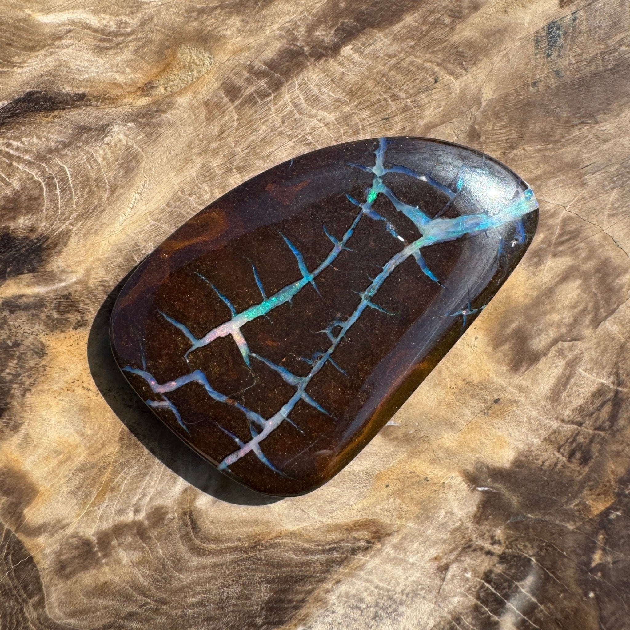 62.4ct Queensland Boulder Opal