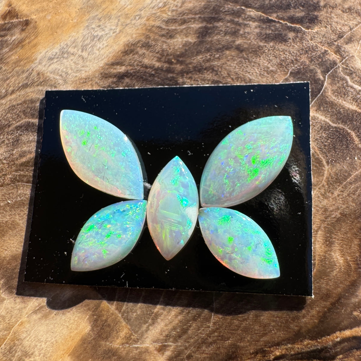 1.8ct Parcel Coober Pedy Opal Butterfly Set | Solid Australian Opal | Hand-Cut