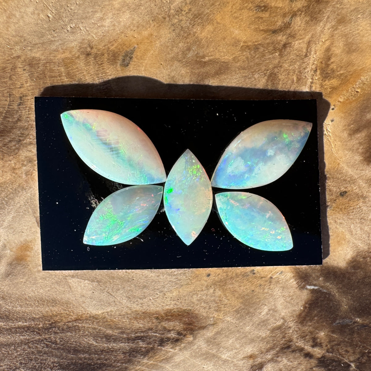 1.8ct Coober Pedy Opal Butterfly Set | Solid Australian Opal | Hand-Cut