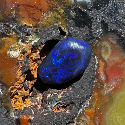 Lightning Ridge Black Opal 1.0carat Solid Hand-Cut Luxury - Iona Opal Australia