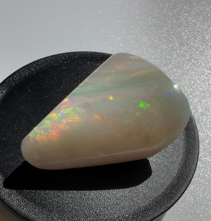 Australian Coober Pedy Opal Sea Shell 14.9carat Solid Hand Cut Luxury - Iona Opal Australia