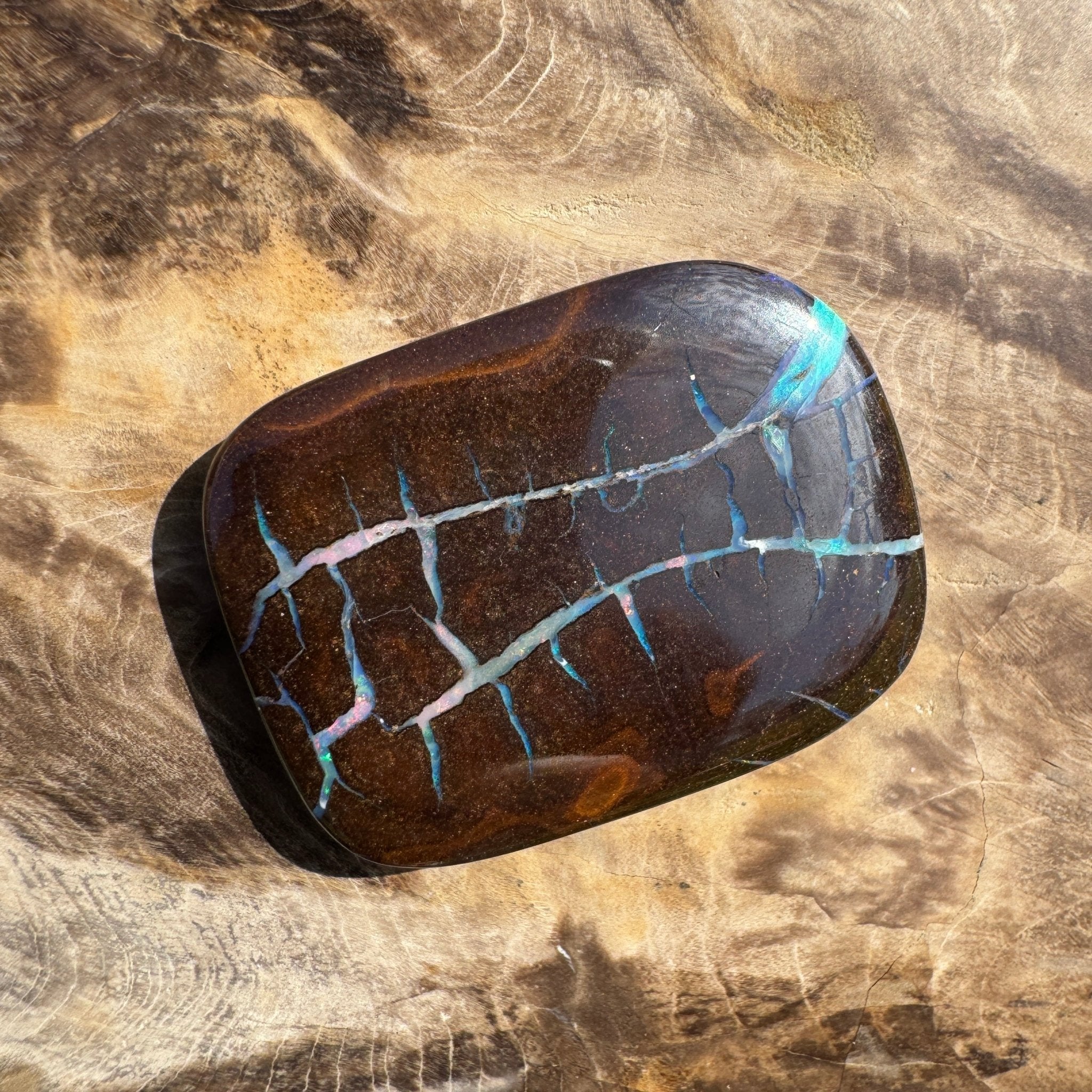76ct Queensland Boulder Opal