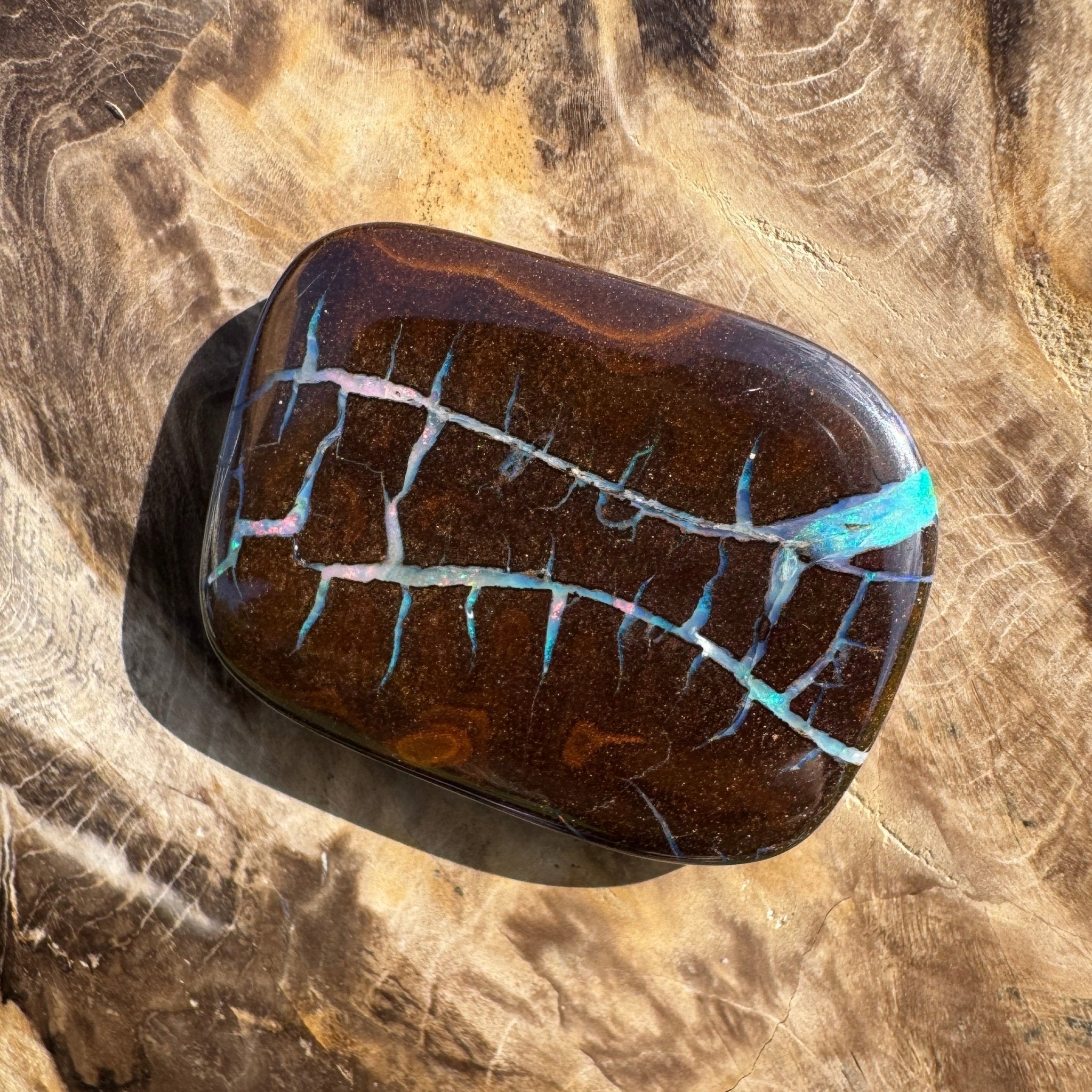 76ct Queensland Boulder Opal