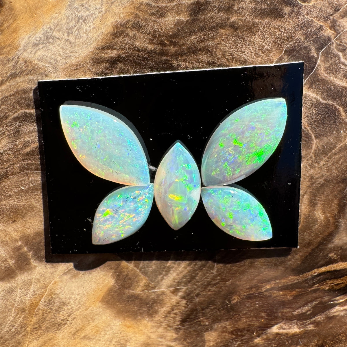 1.8ct Parcel Coober Pedy Opal Butterfly Set | Solid Australian Opal | Hand-Cut