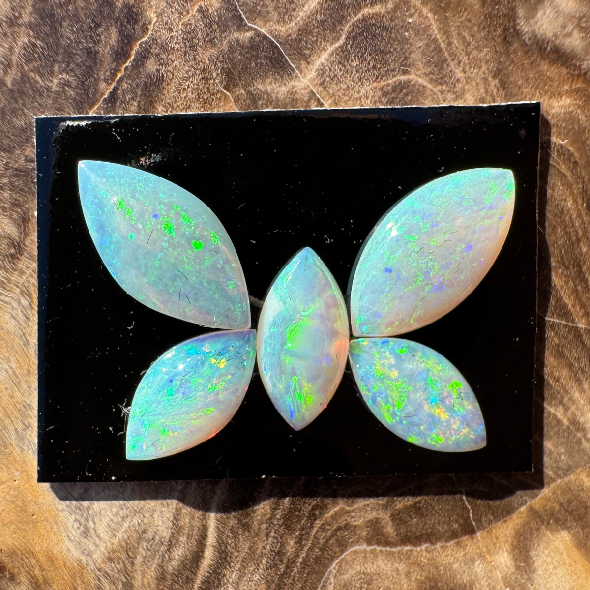 1.8ct Parcel Coober Pedy Opal Butterfly Set | Solid Australian Opal | Hand-Cut