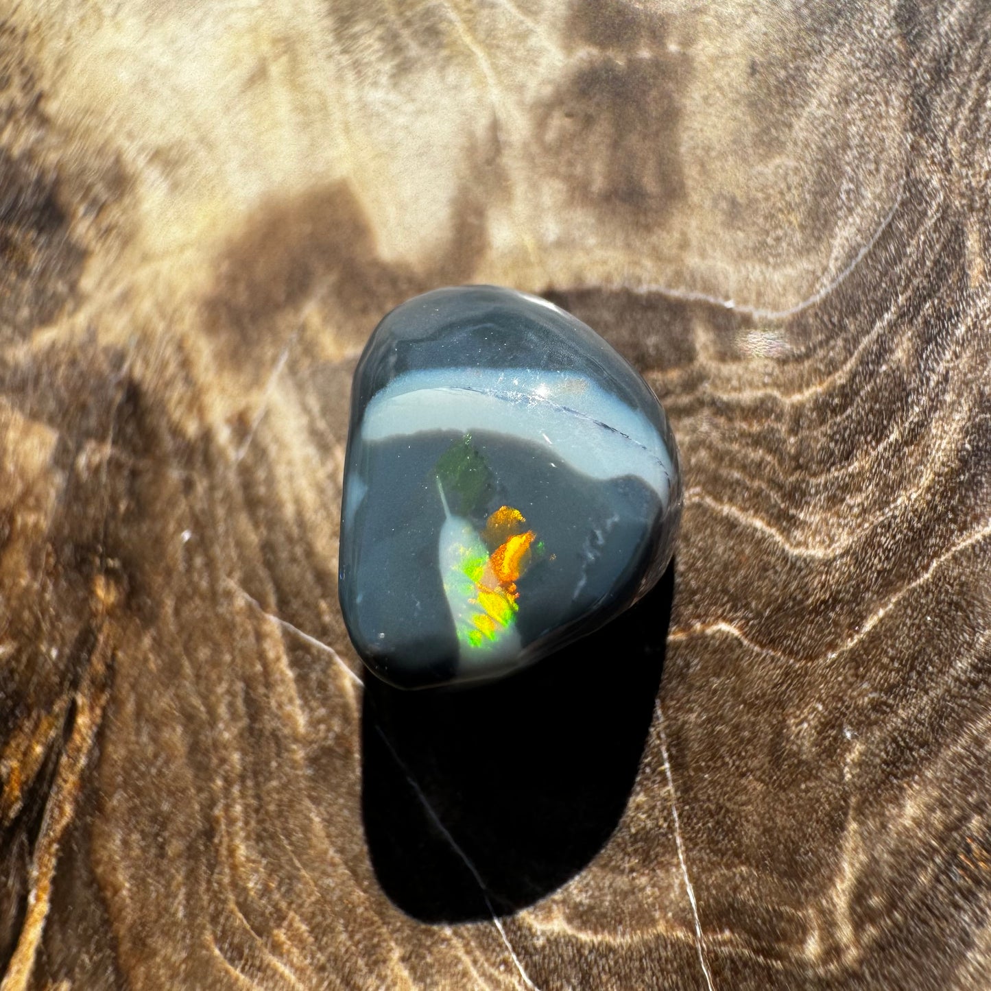 Lightning Ridge Semi Black Opal 2.8carat Solid Hand-Cut Luxury - Iona Opal Australia