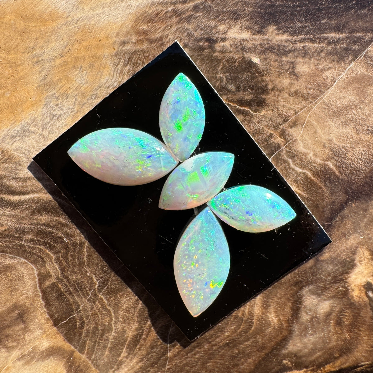 1.8ct Parcel Coober Pedy Opal Butterfly Set | Solid Australian Opal | Hand-Cut
