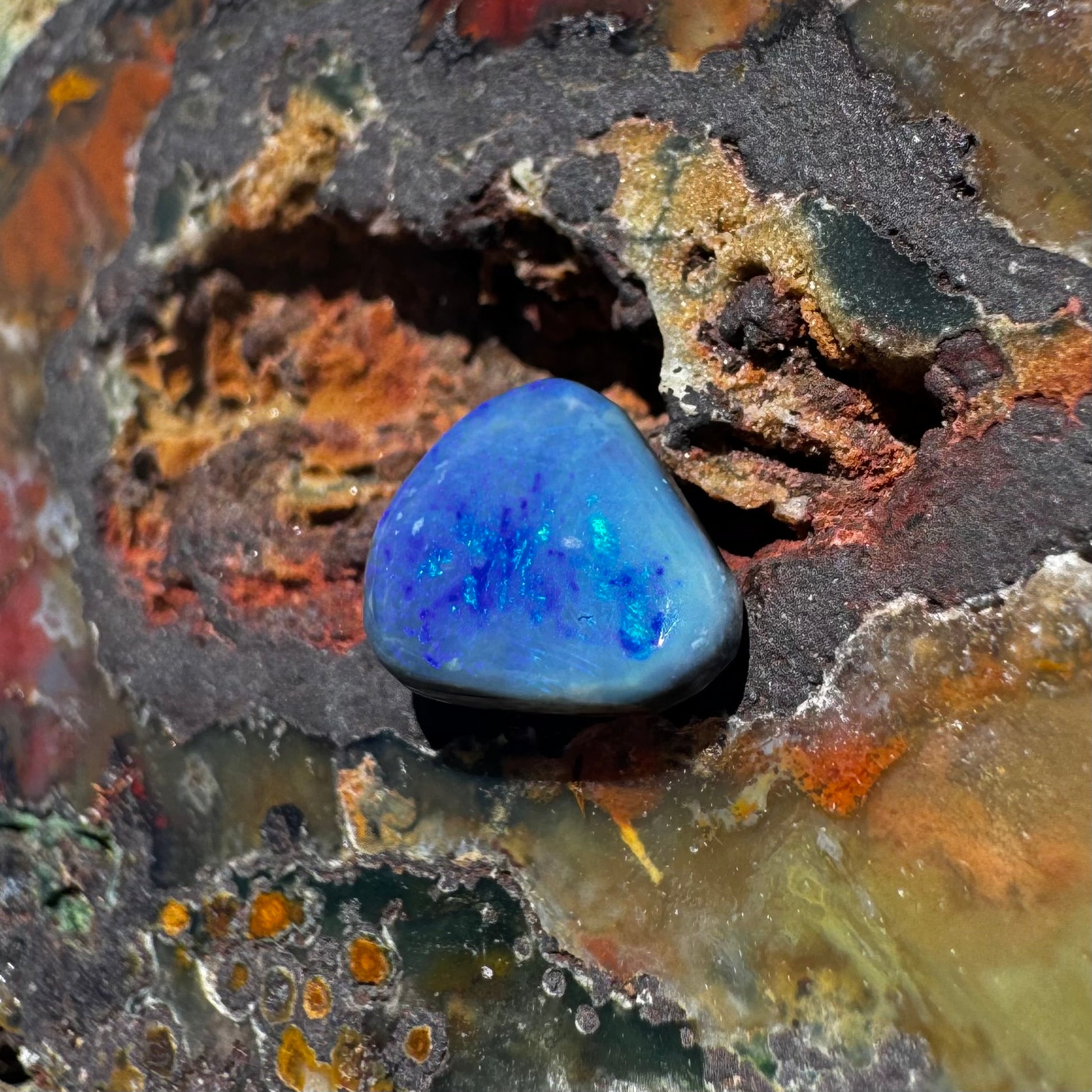 Lightning Ridge Black Opal 1.6carat Solid Hand-Cut Luxury - Iona Opal Australia