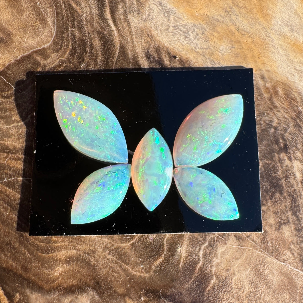 1.8ct Parcel Coober Pedy Opal Butterfly Set | Solid Australian Opal | Hand-Cut
