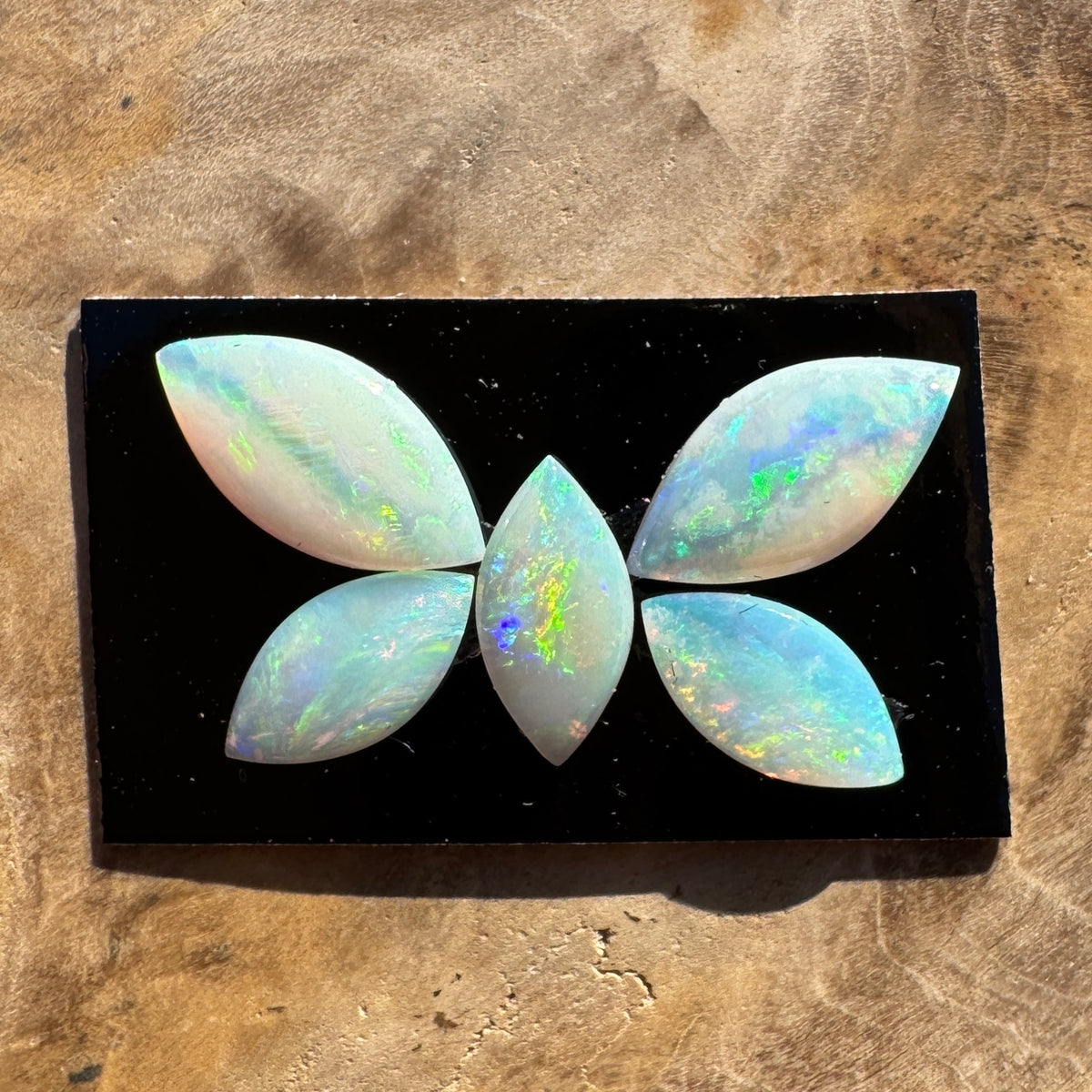 1.8ct Coober Pedy Opal Butterfly Set | Solid Australian Opal | Hand-Cut