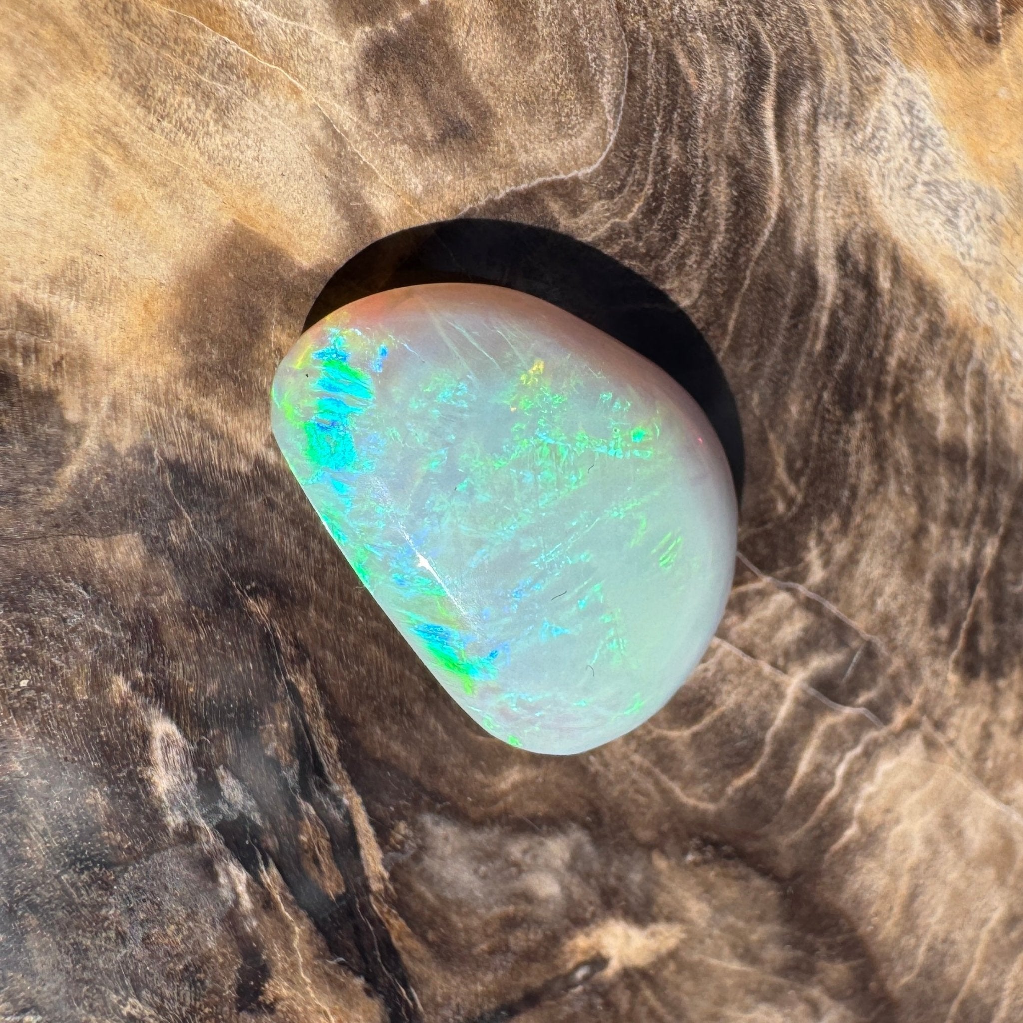 9.3ct Lightning Ridge Freeform Opal | Solid Australian Opal | Hand-Cut