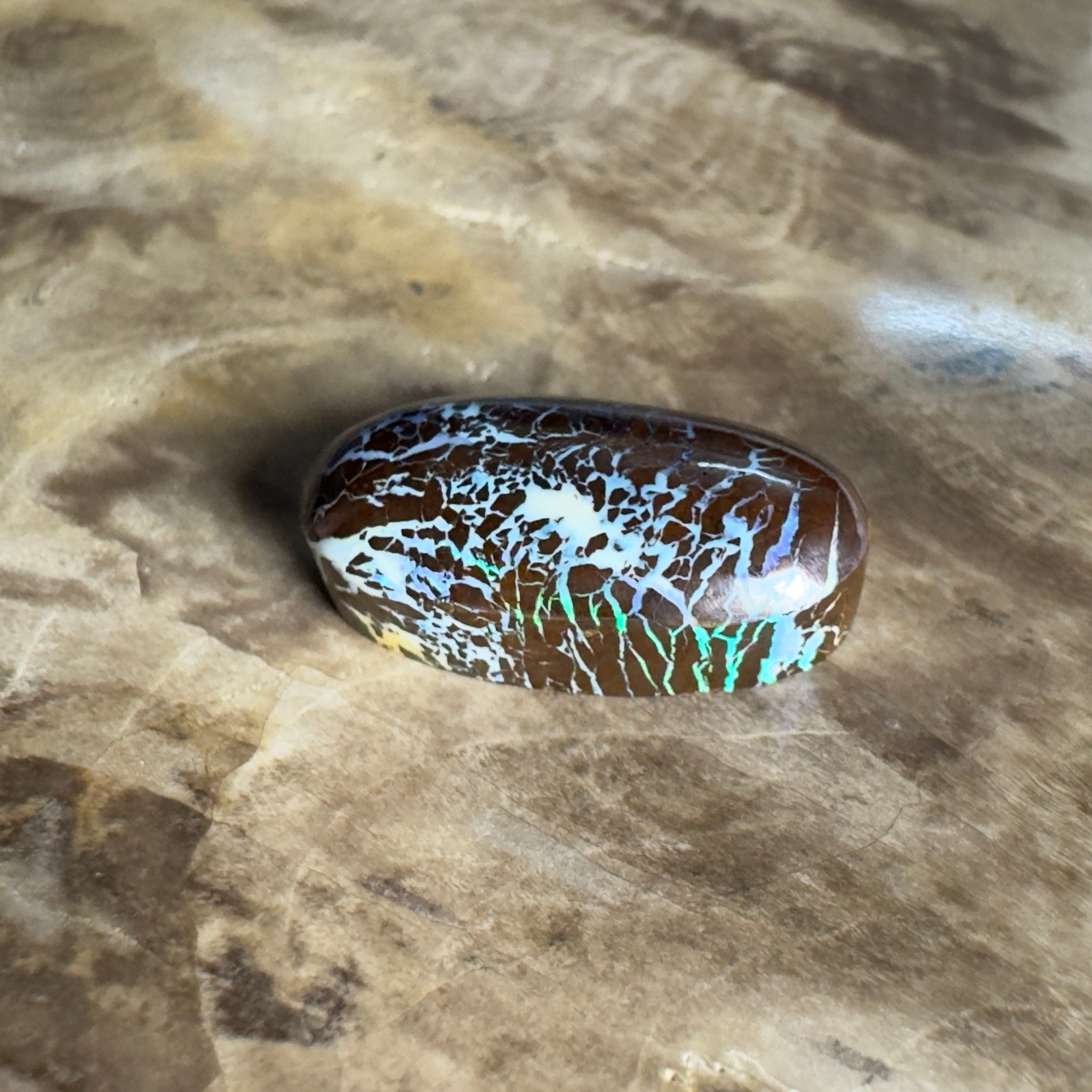 9.9ct Solid Queensland Boulder Opal