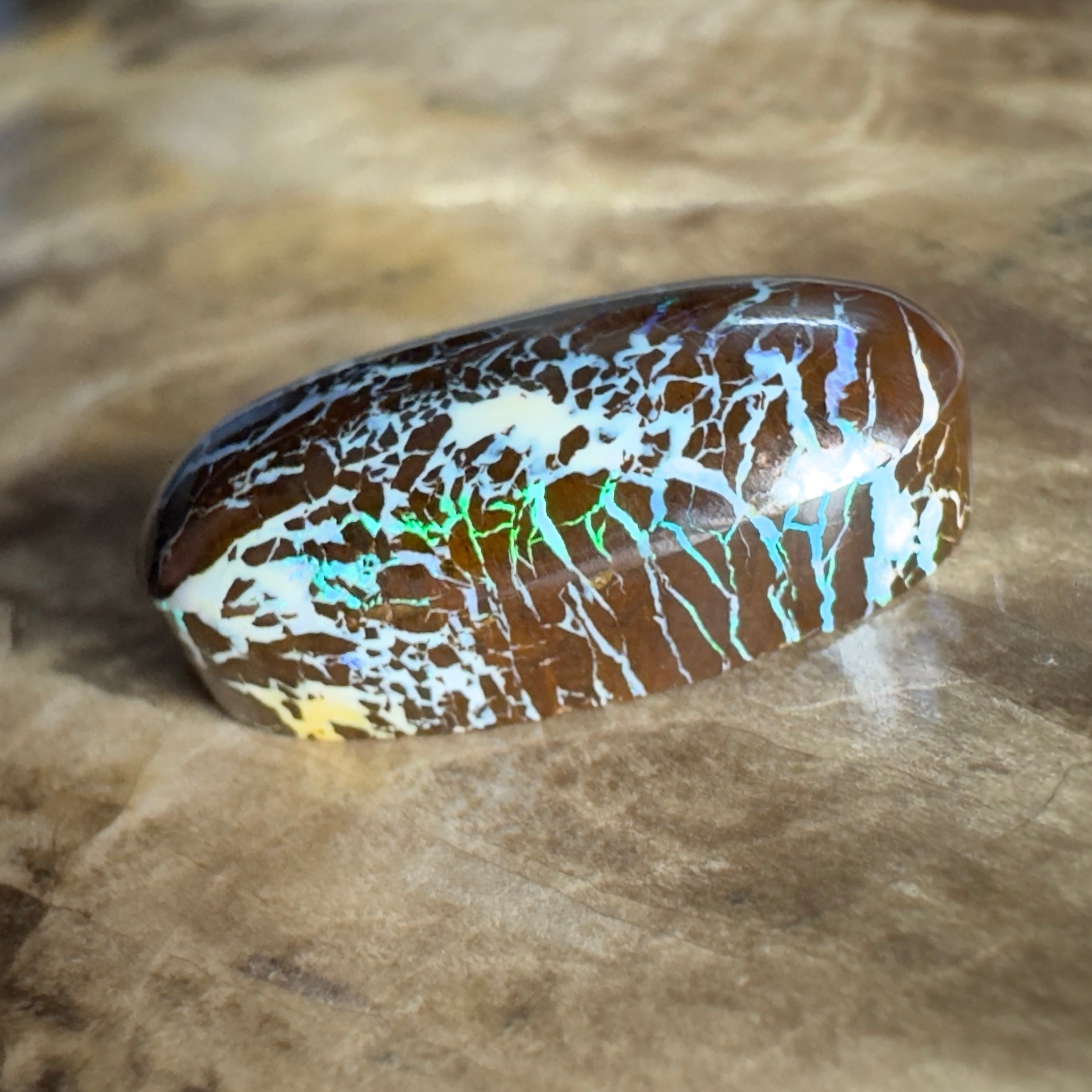 9.9ct Solid Queensland Boulder Opal