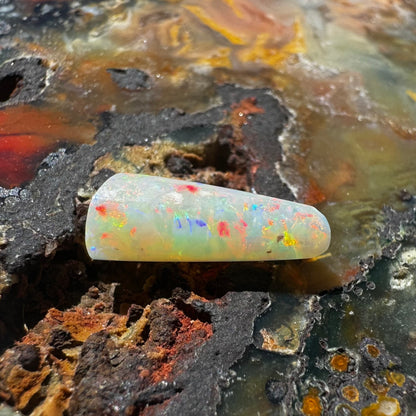 Coober Pedy Belemnite Opal (Fossilised Squid) 2.6carat Solid - Iona Opal Australia