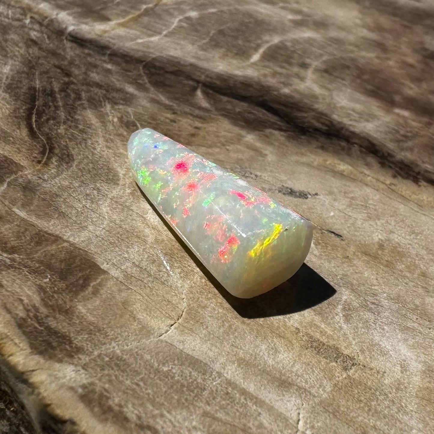 Australian Coober Pedy Belemnite Opal (Squid) 2.6carat Solid Hand Cut Luxury - Iona Opal Australia