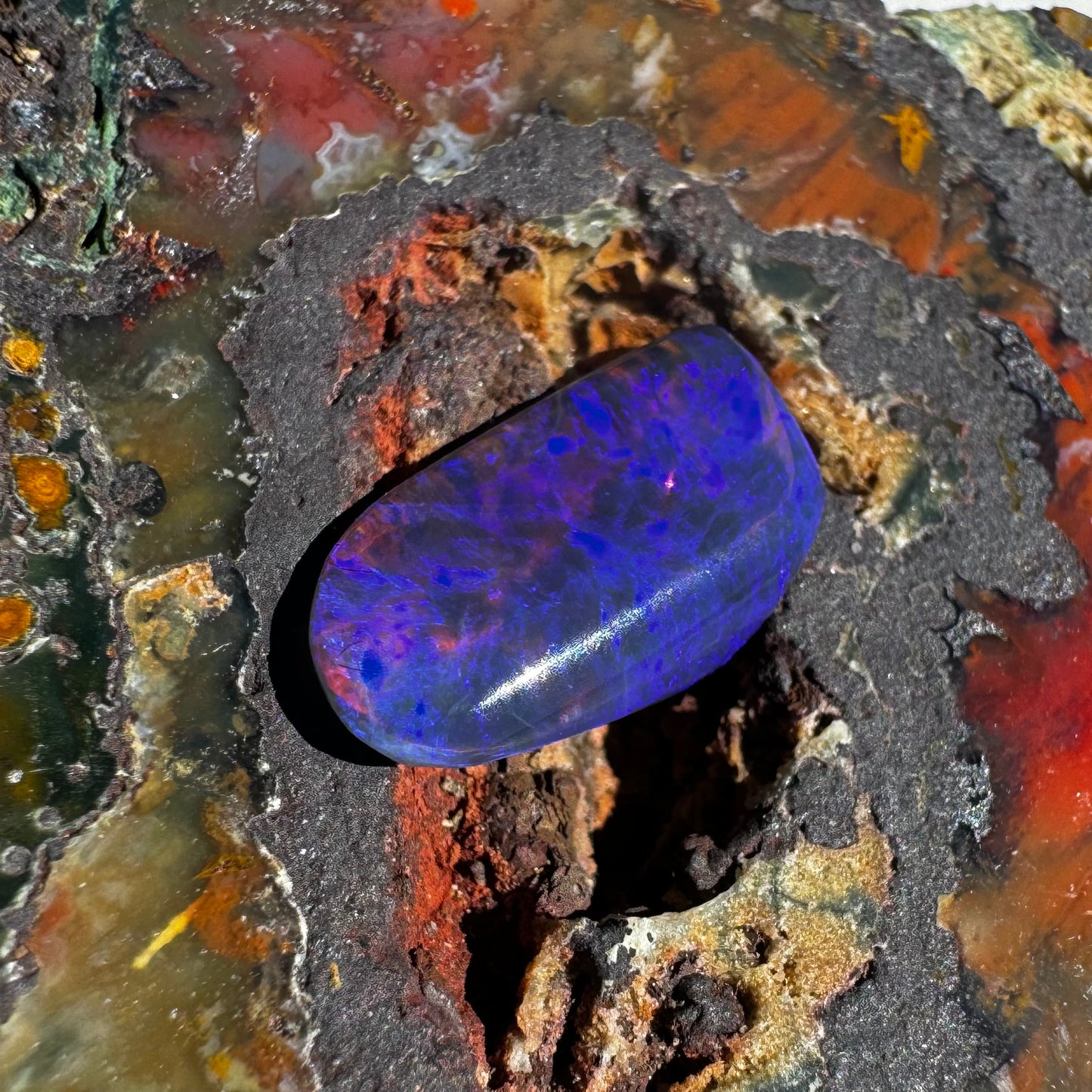 Lightning Ridge Black Opal 2.3carat Solid Hand-Cut Luxury - Iona Opal Australia