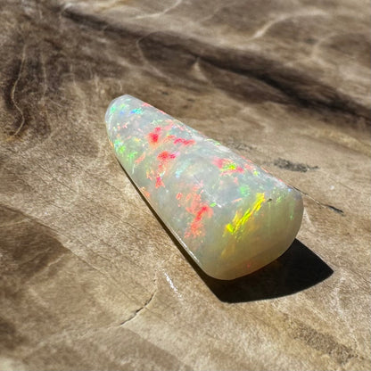 Coober Pedy Belemnite Opal (Fossilised Squid) 2.6carat Solid - Iona Opal Australia