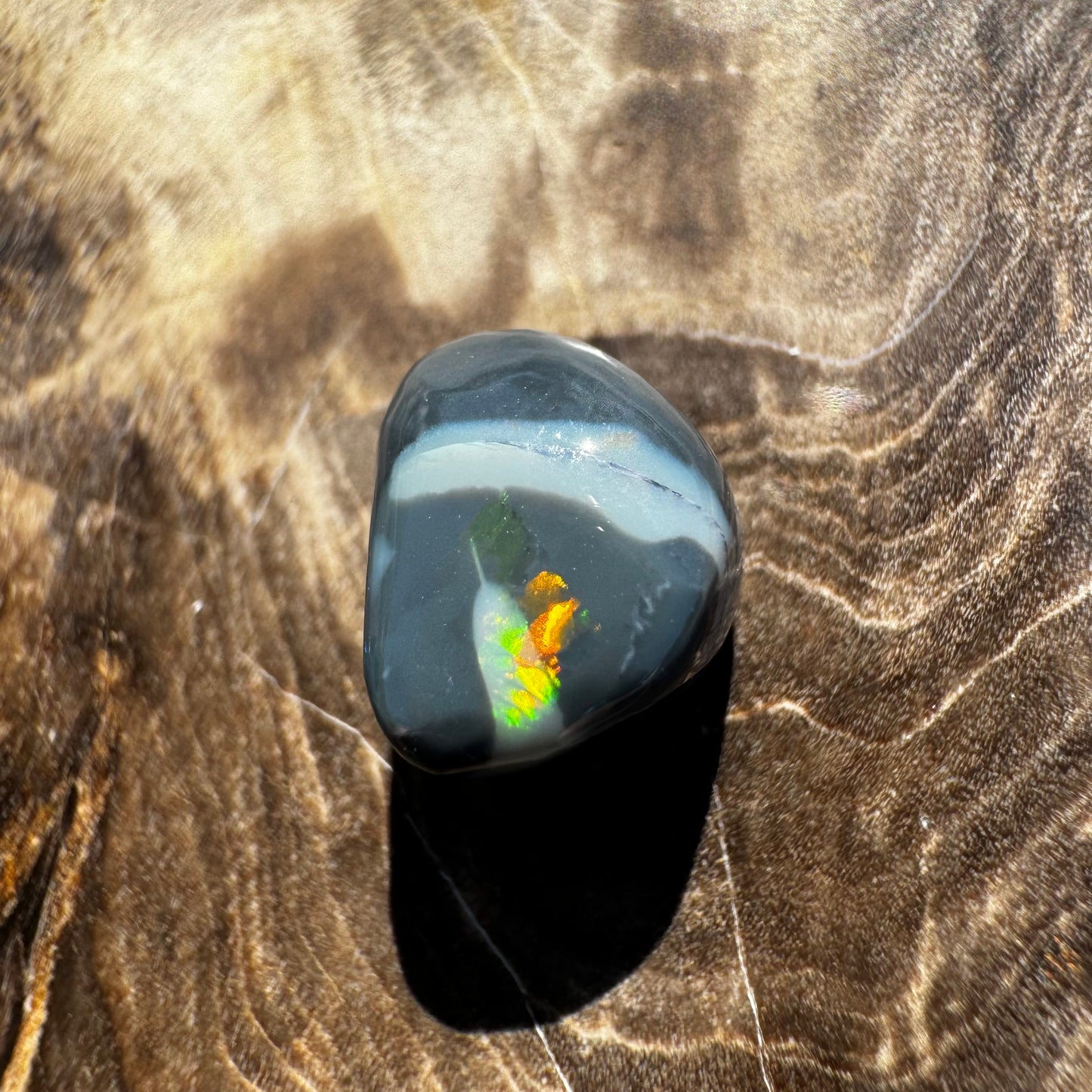 Lightning Ridge Semi Black Opal 2.8carat Solid Hand-Cut Luxury - Iona Opal Australia