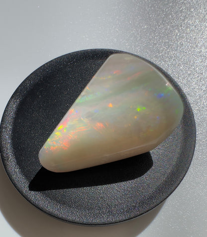 Australian Coober Pedy Opal Sea Shell 14.9carat Solid Hand Cut Luxury - Iona Opal Australia