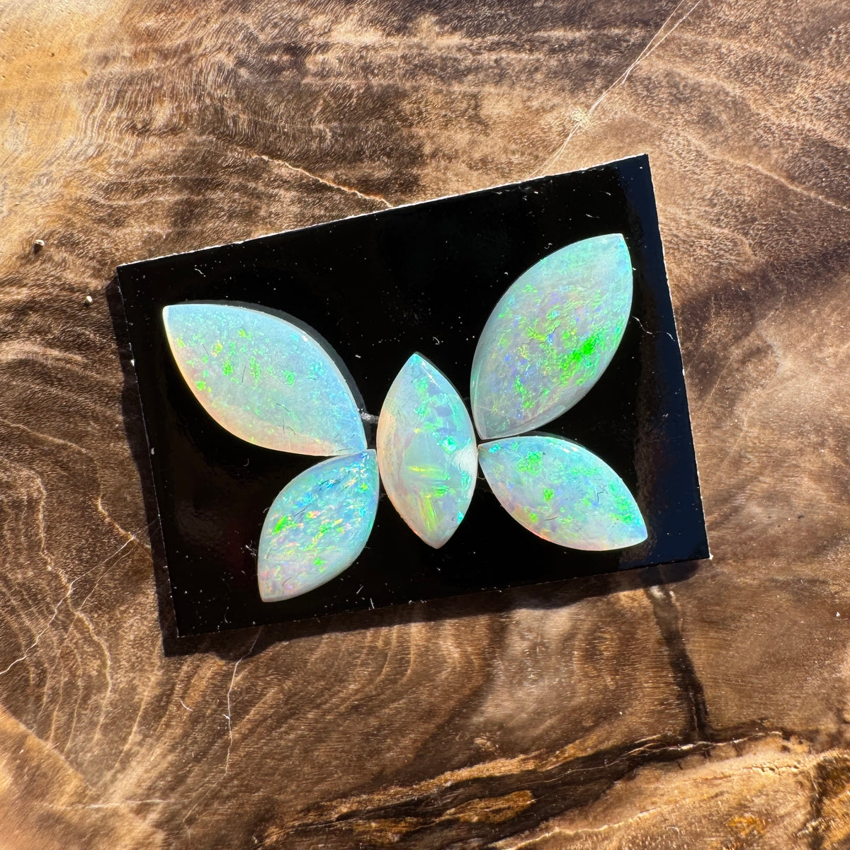 1.8ct Parcel Coober Pedy Opal Butterfly Set | Solid Australian Opal | Hand-Cut