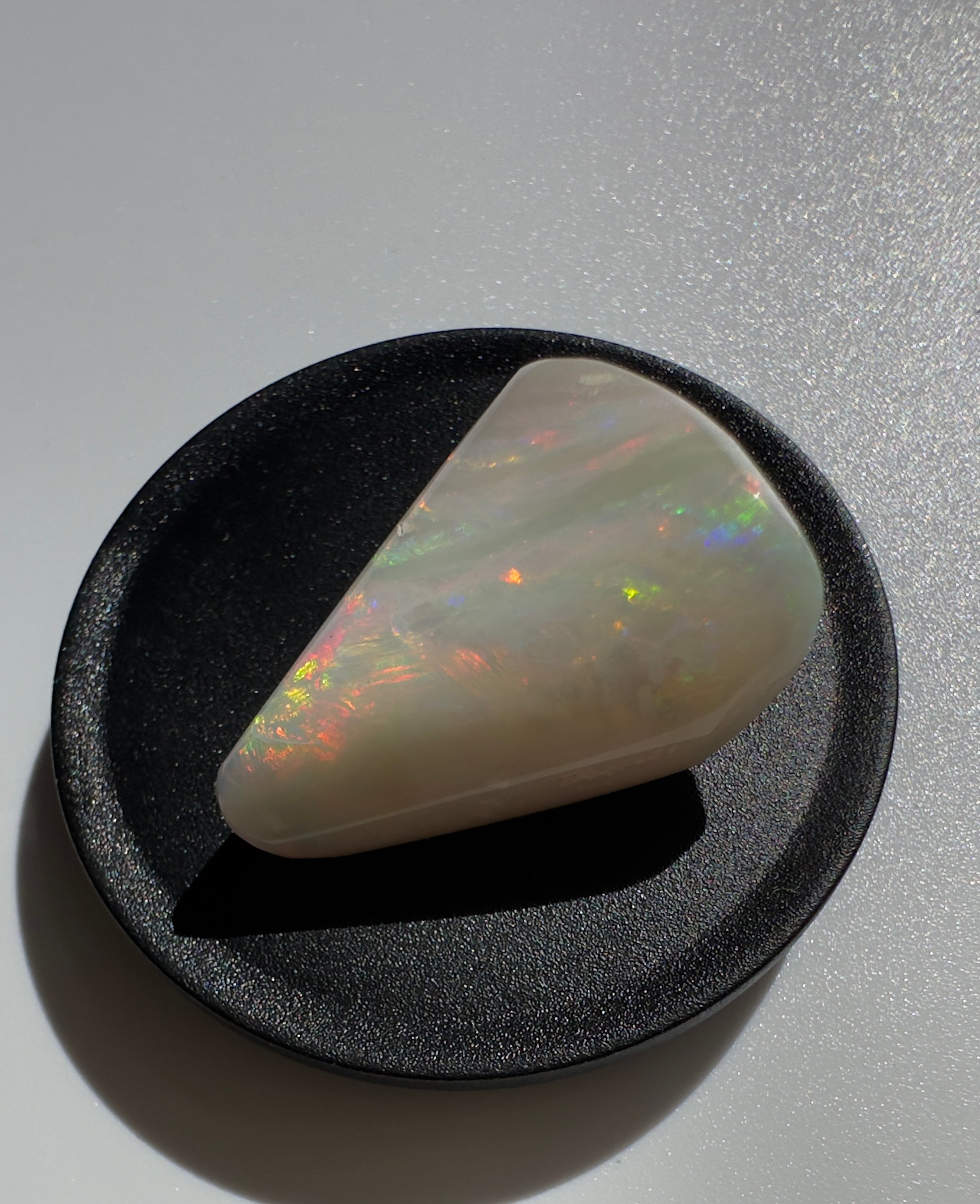 Australian Coober Pedy Opal Sea Shell 14.9carat Solid Hand Cut Luxury - Iona Opal Australia