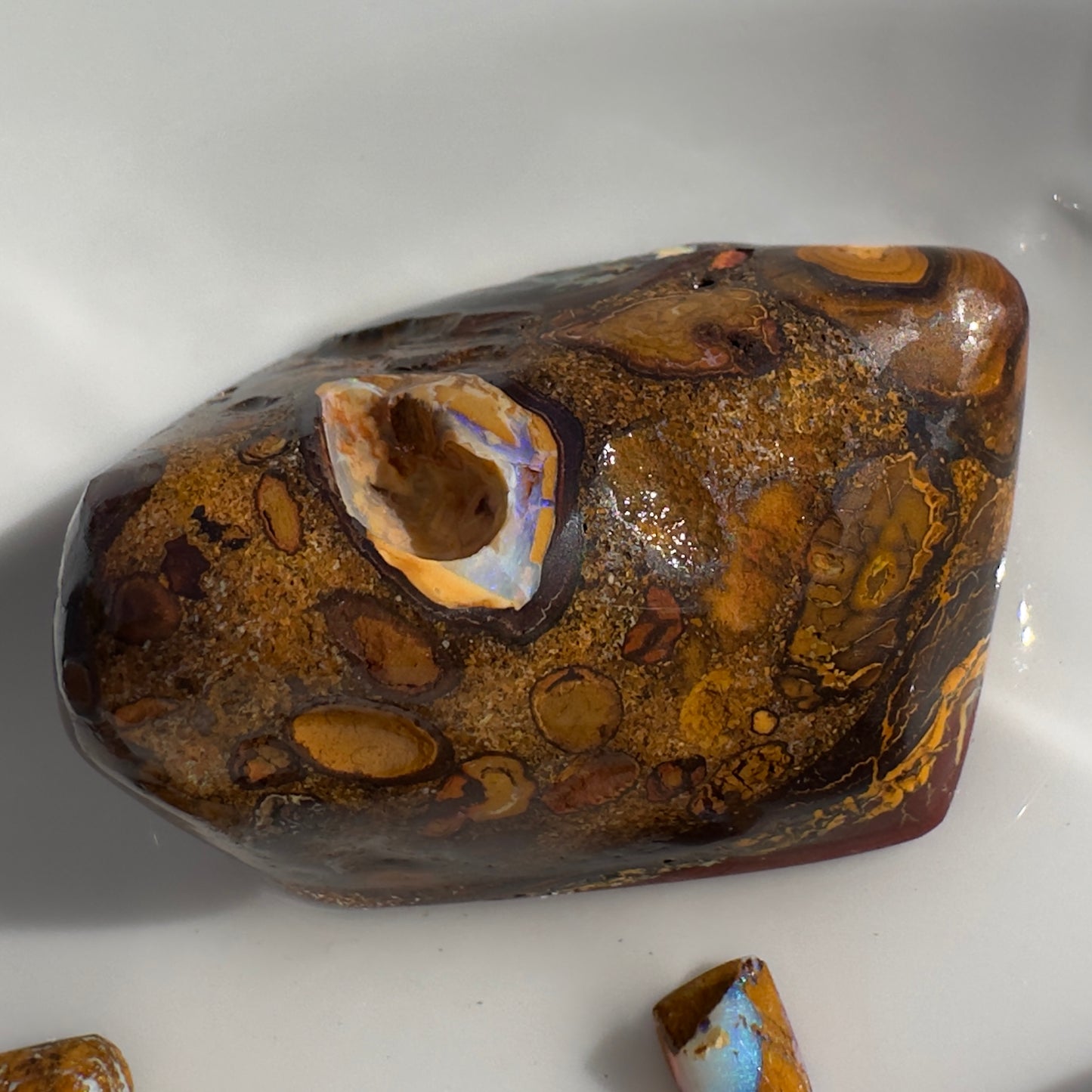 Yowah Nut and Koroit Boulder Opal Hand-Cut Rub Parcel 240carats - Iona Opal Australia