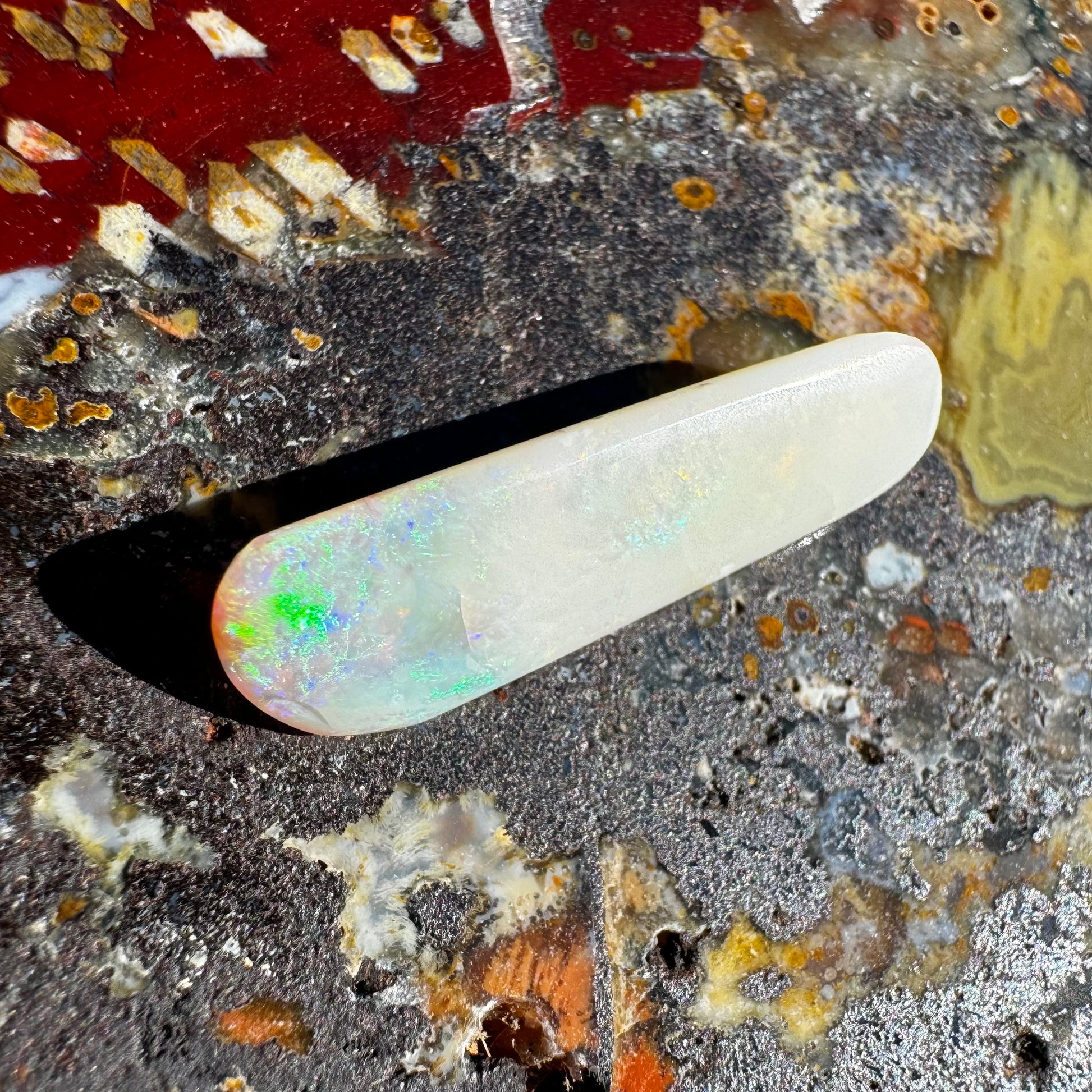 Coober Pedy Belemnite Opal (Fossilised Squid) 7.2carat Solid Hand-Cut Luxury - Iona Opal Australia