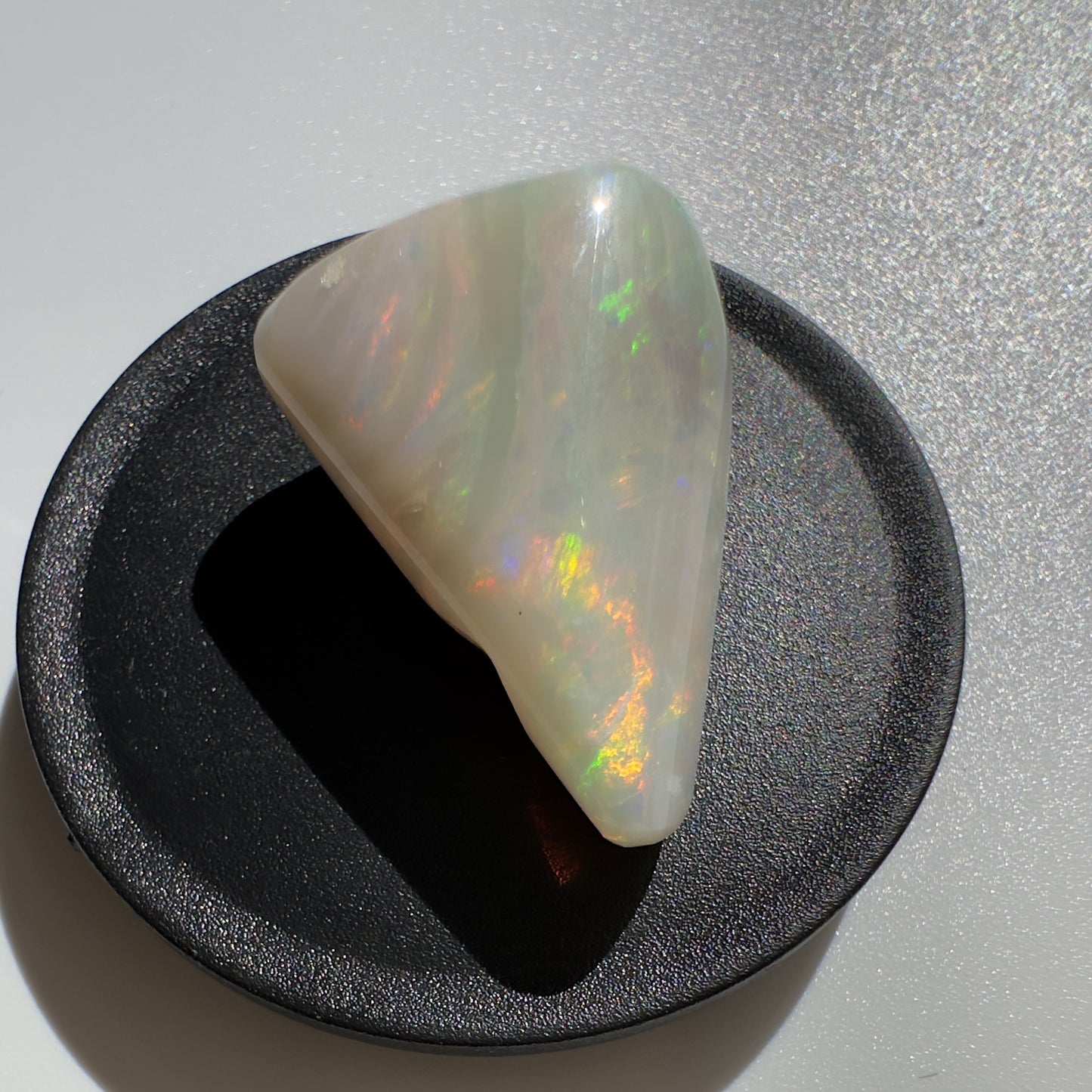 Australian Coober Pedy Opal Sea Shell 14.9carat Solid Hand Cut Luxury - Iona Opal Australia