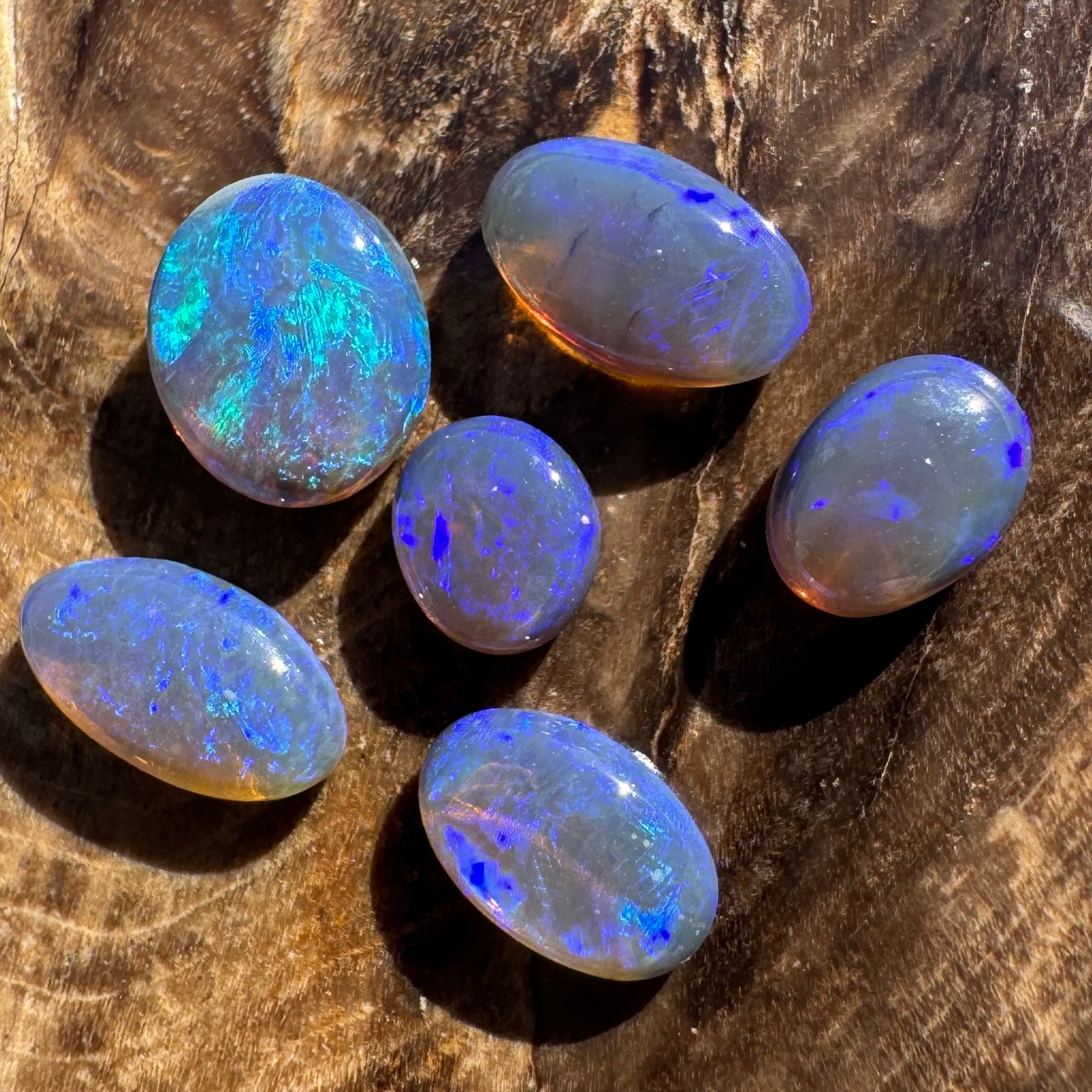 3.1ct Lightning Ridge Opal Parcel | Solid Australian Opal | Hand-Cut